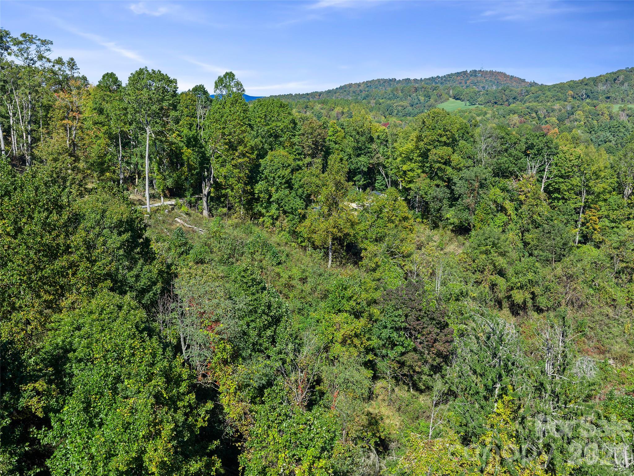 Acreage at TBD Chestnut Grove Road, Spruce Pine, photo 17 of 35