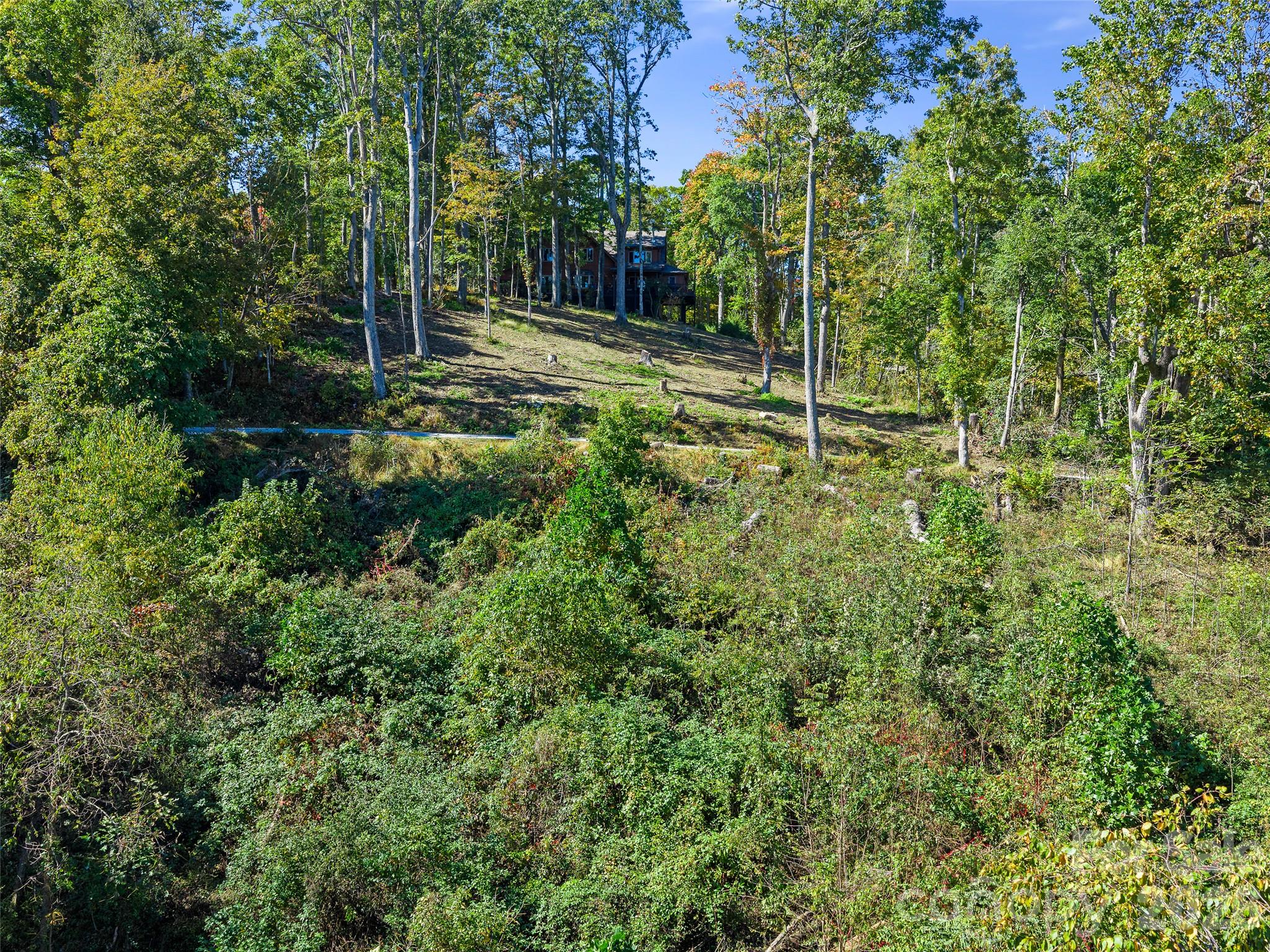 Acreage at TBD Chestnut Grove Road, Spruce Pine, photo 19 of 35
