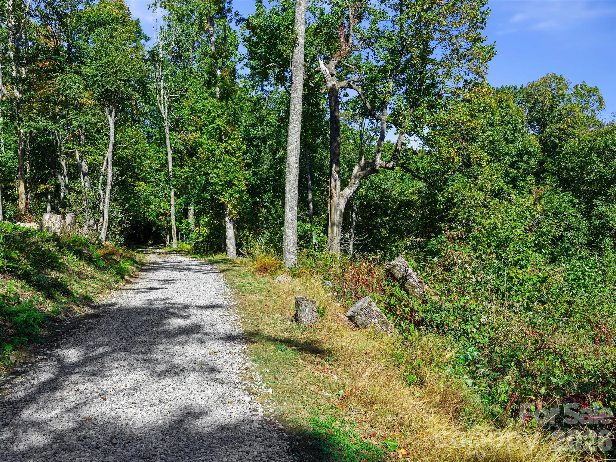 Acreage at TBD Chestnut Grove Road, Spruce Pine, photo 21 of 35