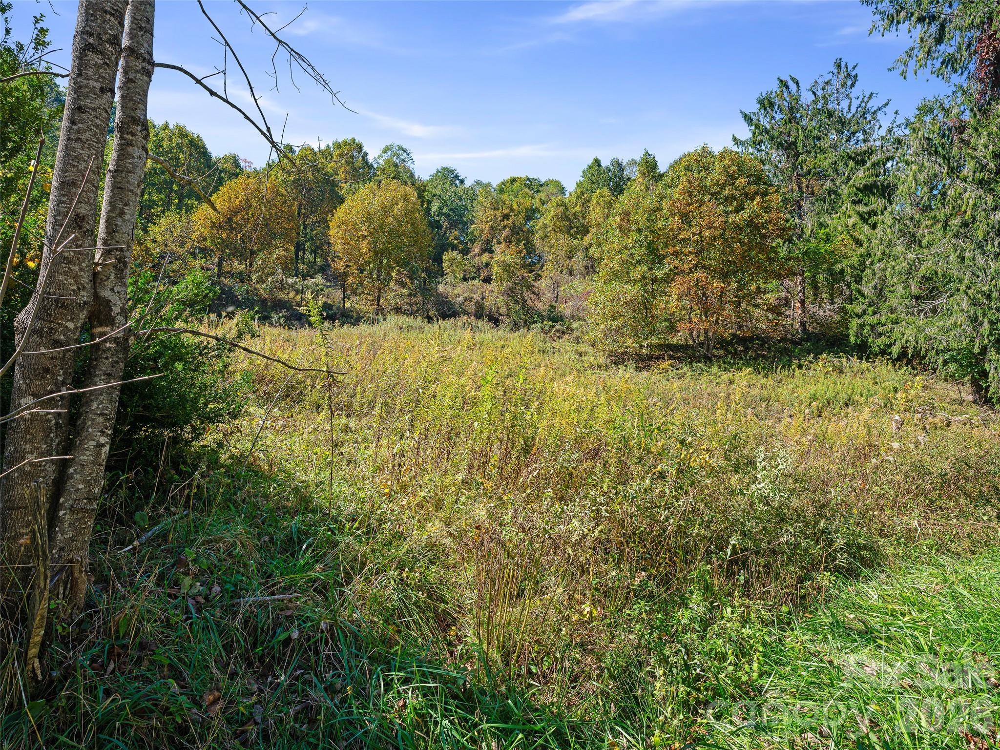 Acreage at TBD Chestnut Grove Road, Spruce Pine, photo 24 of 35