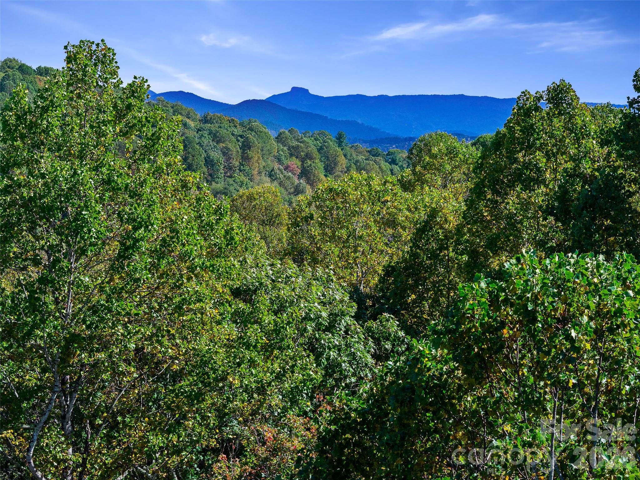 Acreage at TBD Chestnut Grove Road, Spruce Pine, photo 25 of 35