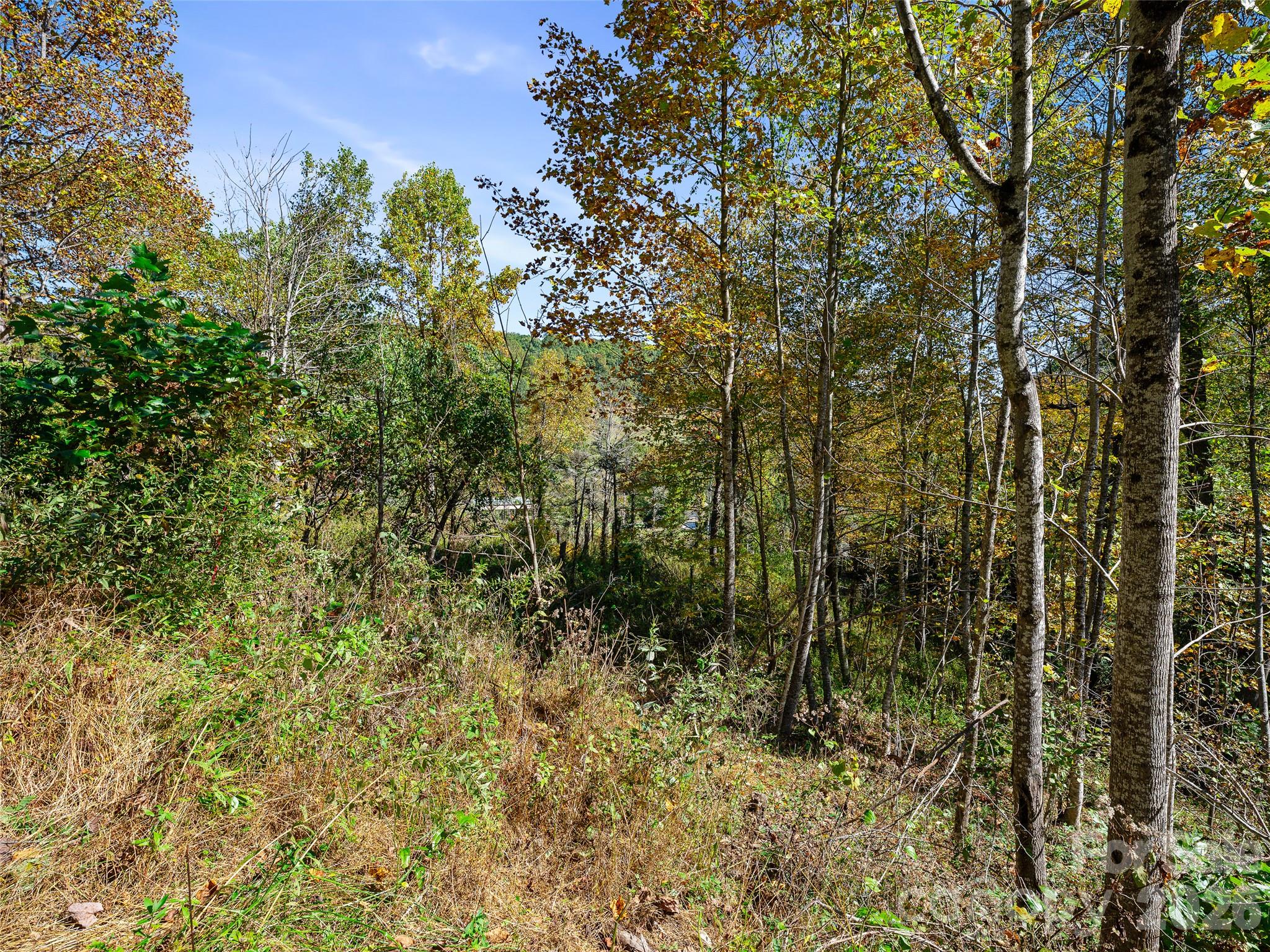 Acreage at TBD Chestnut Grove Road, Spruce Pine, photo 34 of 35