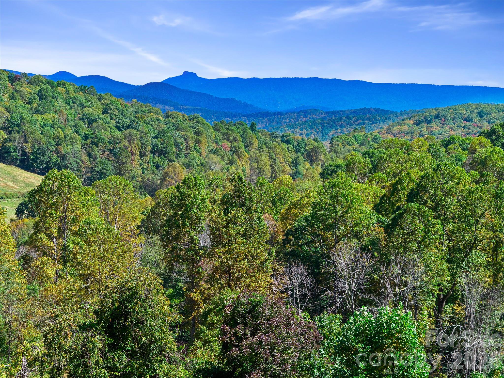 Acreage at TBD Chestnut Grove Road, Spruce Pine, photo 35 of 35