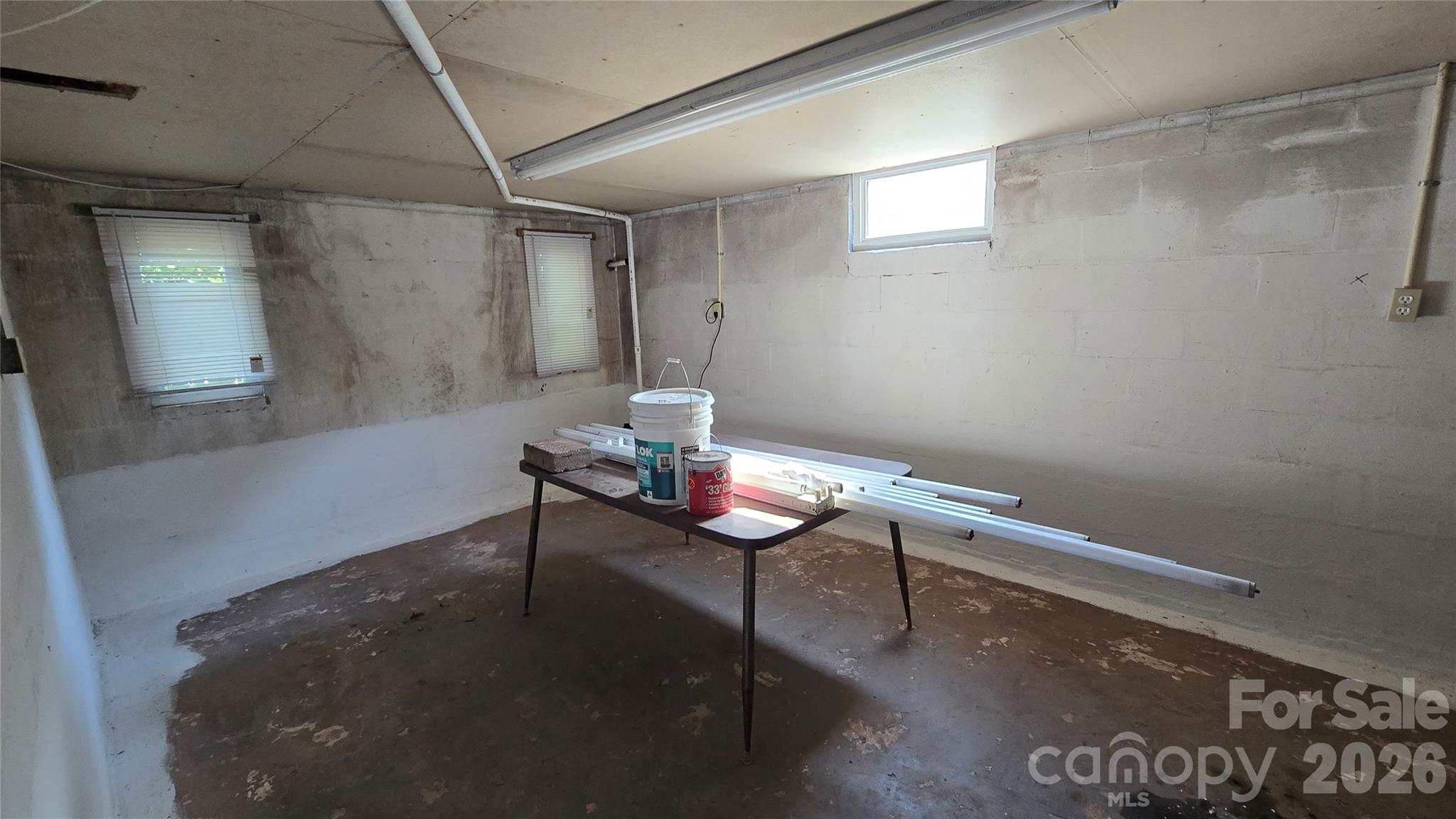 Basement - 114 School Street, Belmont