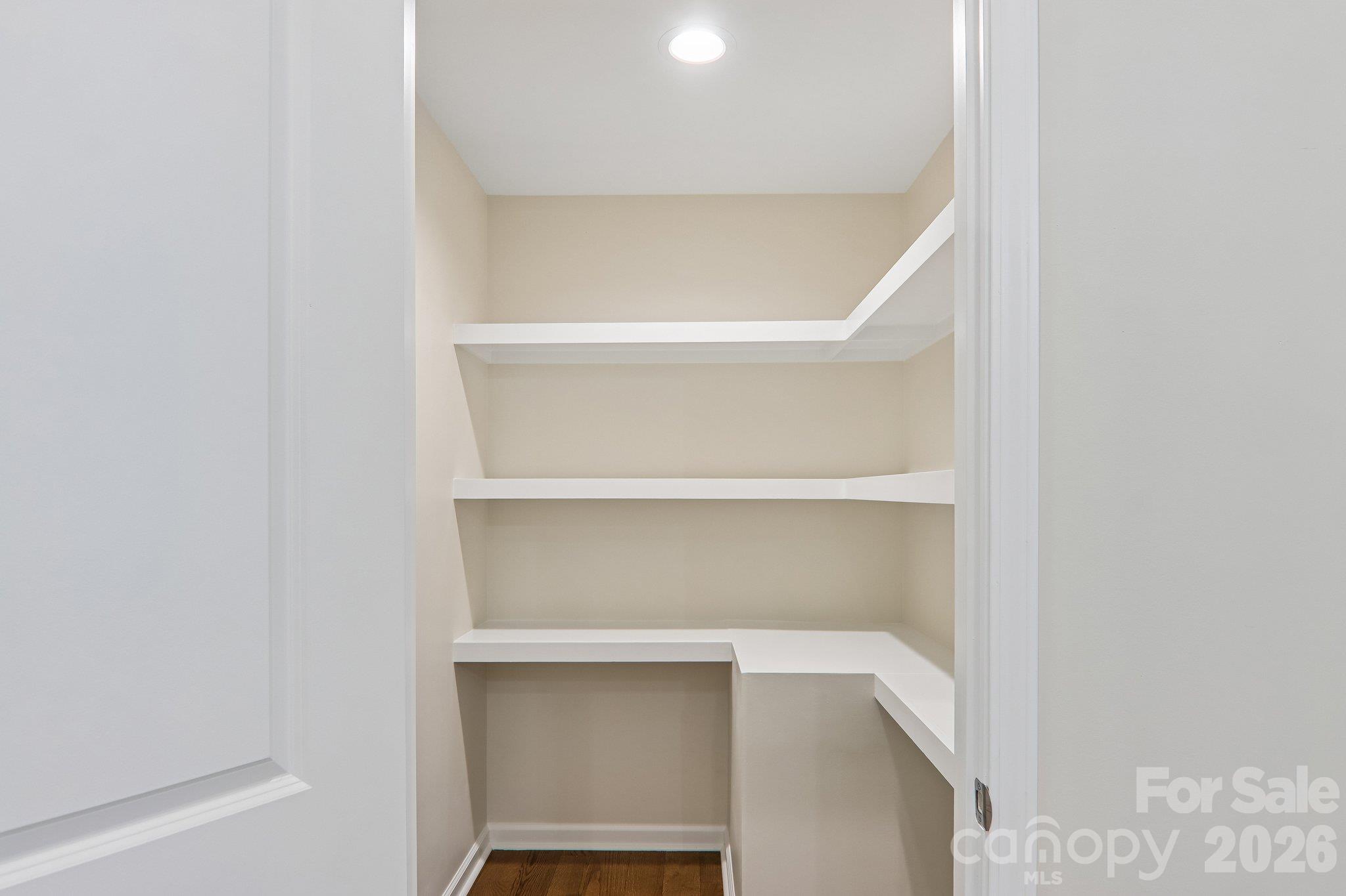 Walk-in pantry - 129 Lincoln Ridge Drive, Candler