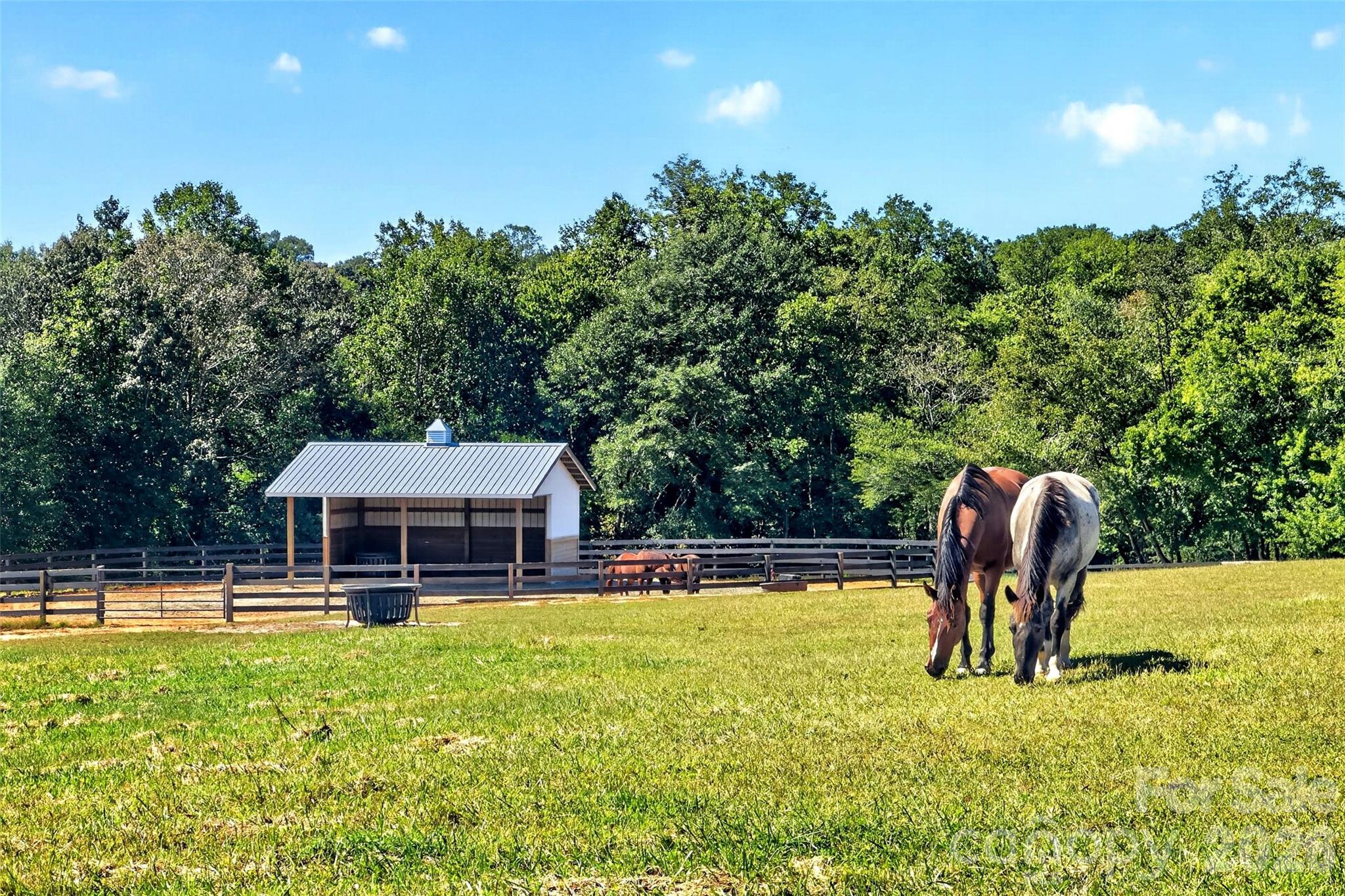 Farm at 2380 New House Road, Ellenboro, photo 29 of 45
