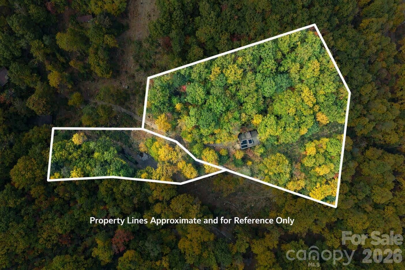 Single Family Residence at 139 Lakey Gap Acres None, Black Mountain, photo 40 of 43
