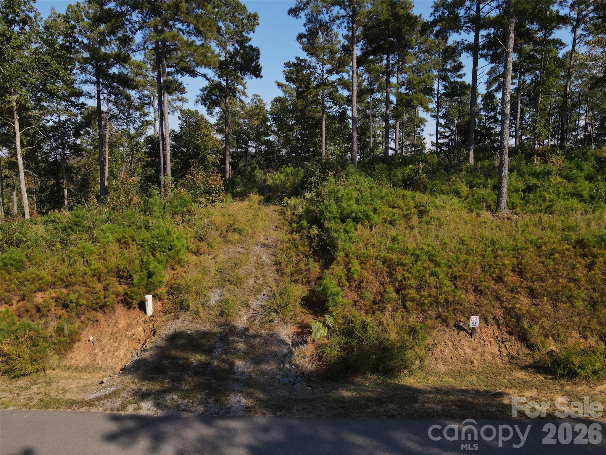Lot at 3038 Jumping Run, Connelly Springs, photo 3 of 20