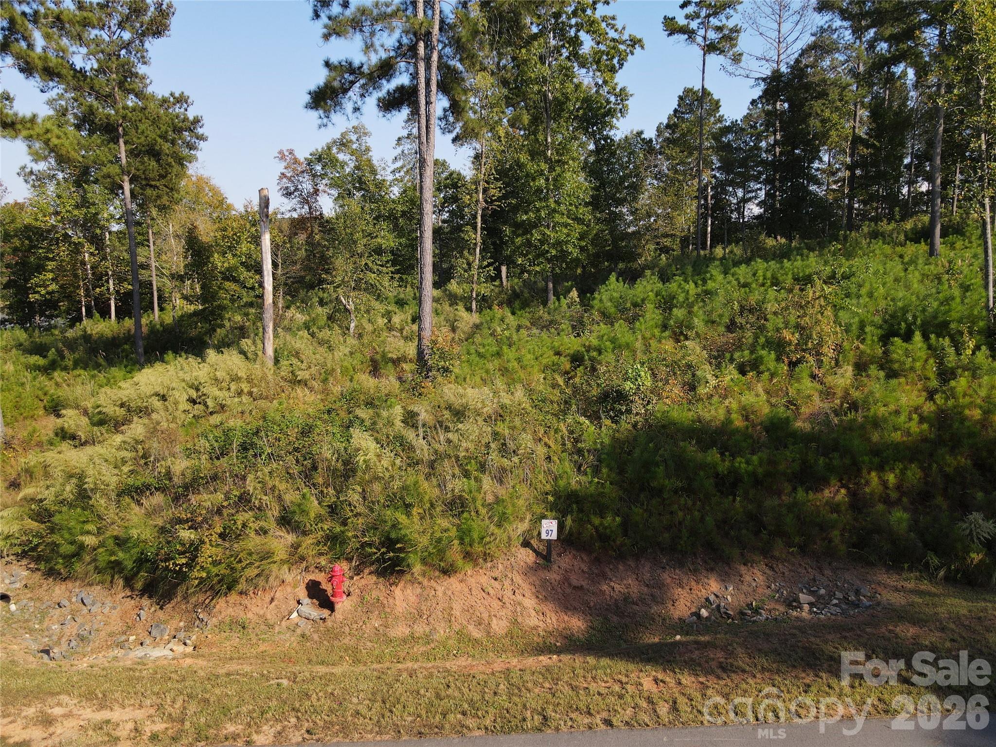 Lot at 3060 & 3078 Jumping Run, Connelly Springs, photo 3 of 19
