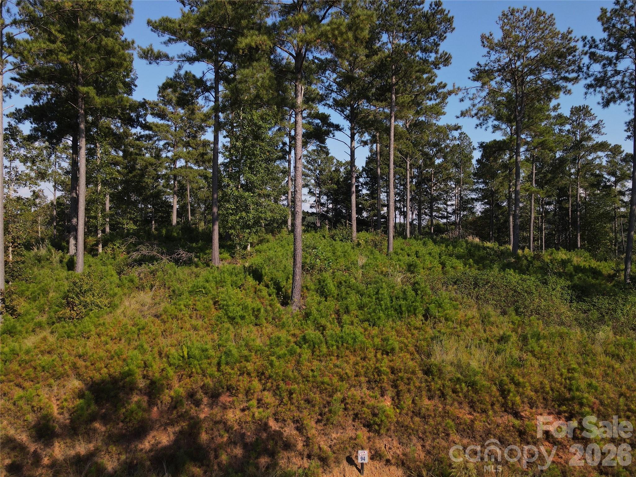 Single Family Residence at 3012 Jumping Run, Connelly Springs, photo 27 of 41
