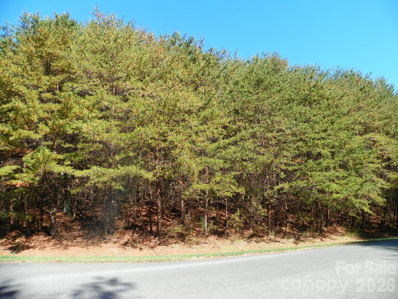 Lot at 108 Chersonese Court, New London, photo 4 of 4
