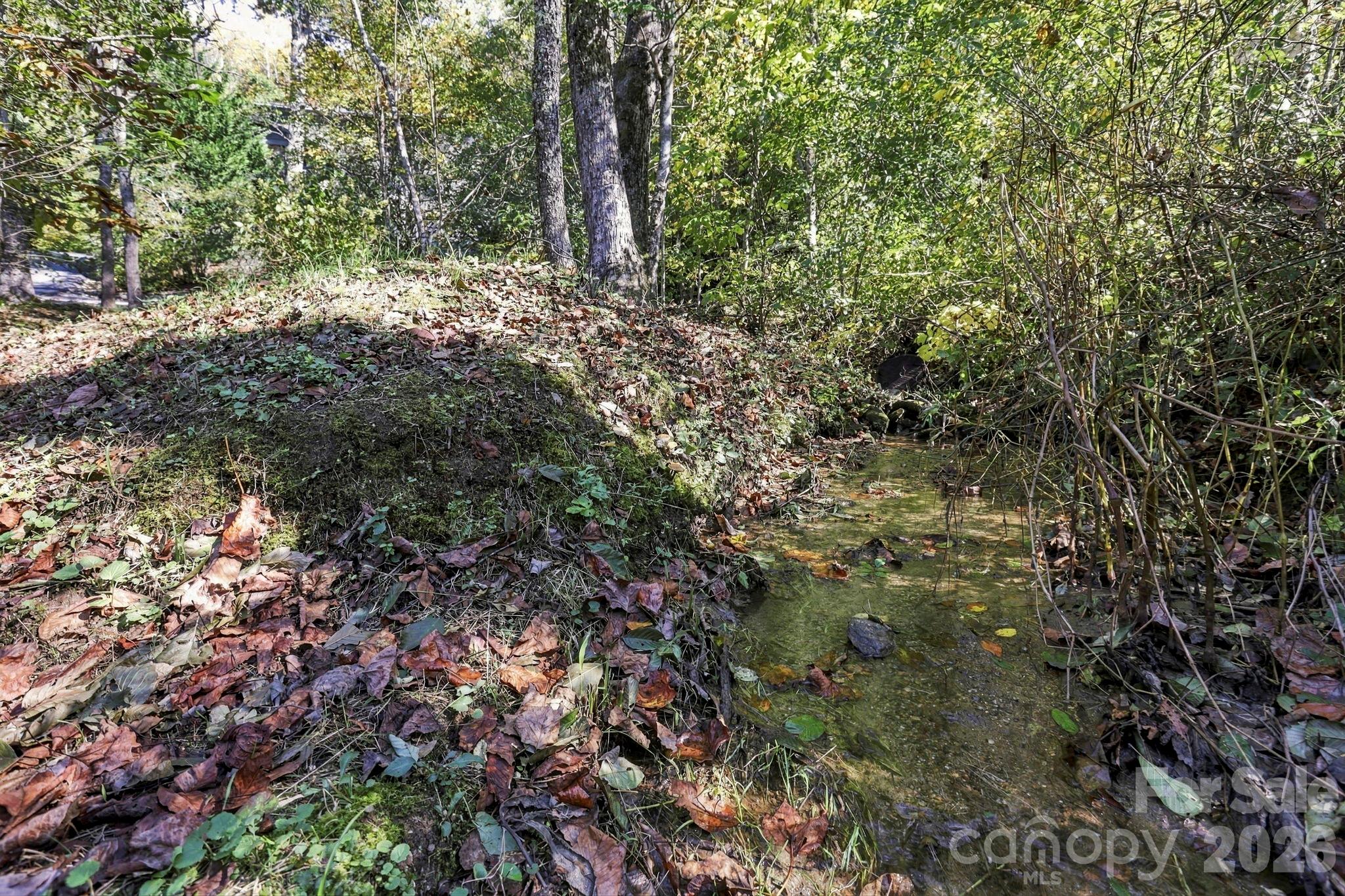 Creek next to Carport - 39 Williams Cove Road, Black Mountain