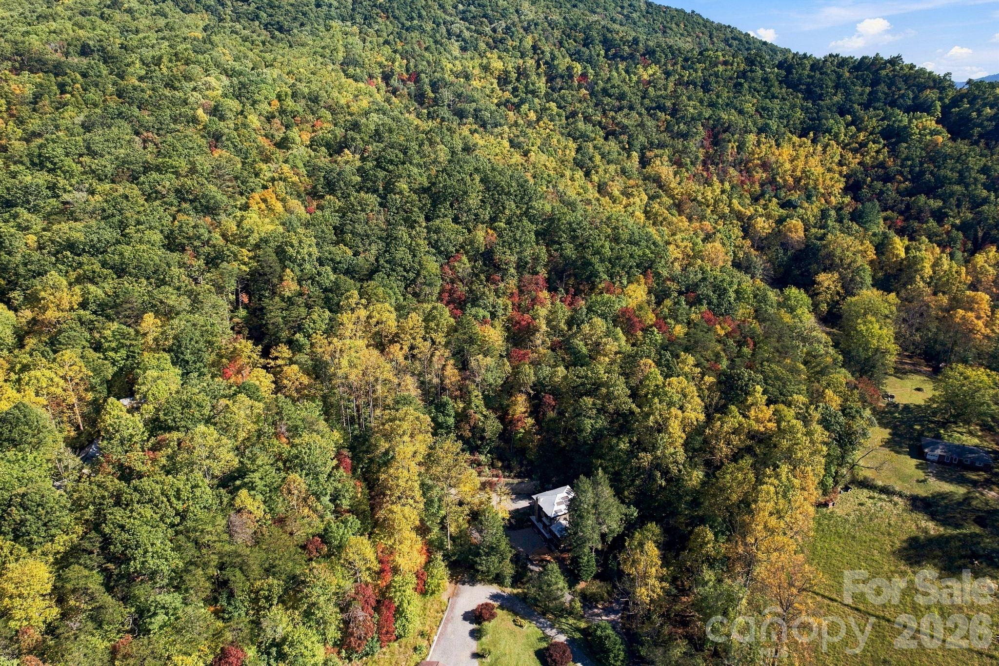 Aerial view of house and 11.98 acres - 39 Williams Cove Road, Black Mountain