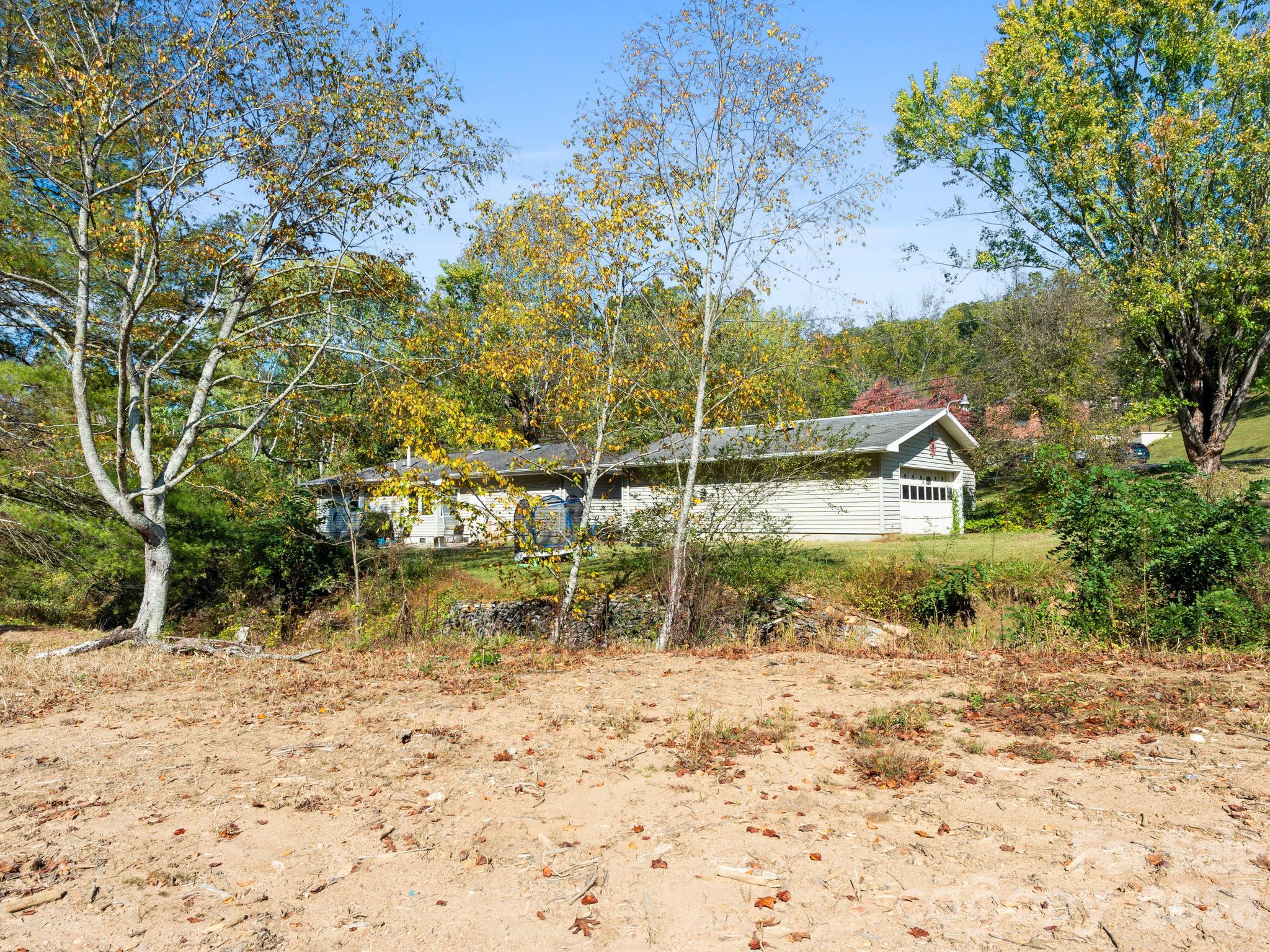 Back of property looking toward house - 239 Baird Cove Road, Asheville