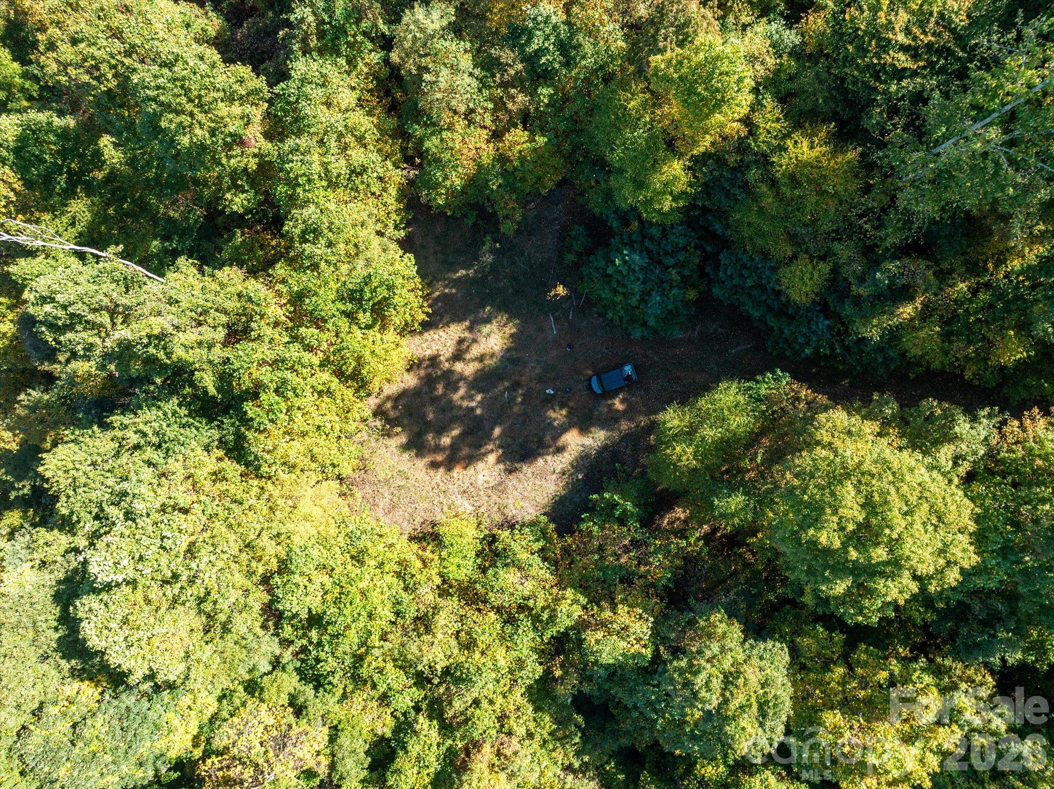 Acreage at TBD Big Laurel Road, Marshall, photo 5 of 22