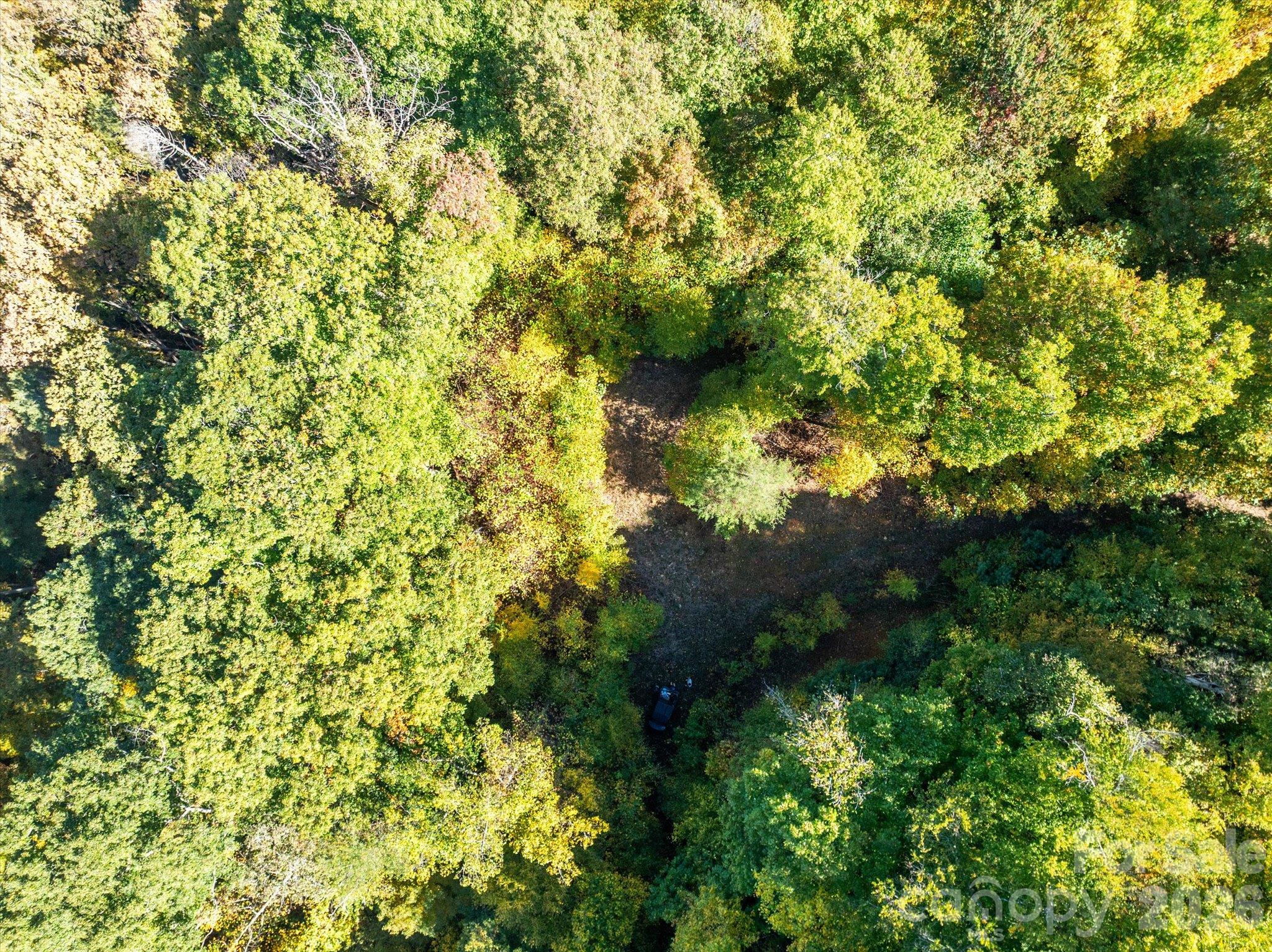 Acreage at TBD Big Laurel Road, Marshall, photo 6 of 22