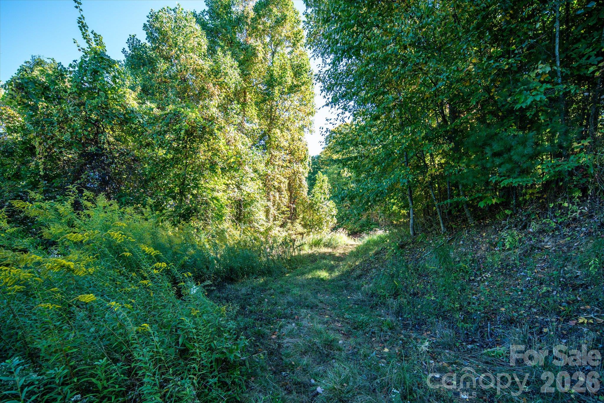 Acreage at TBD Big Laurel Road, Marshall, photo 7 of 22