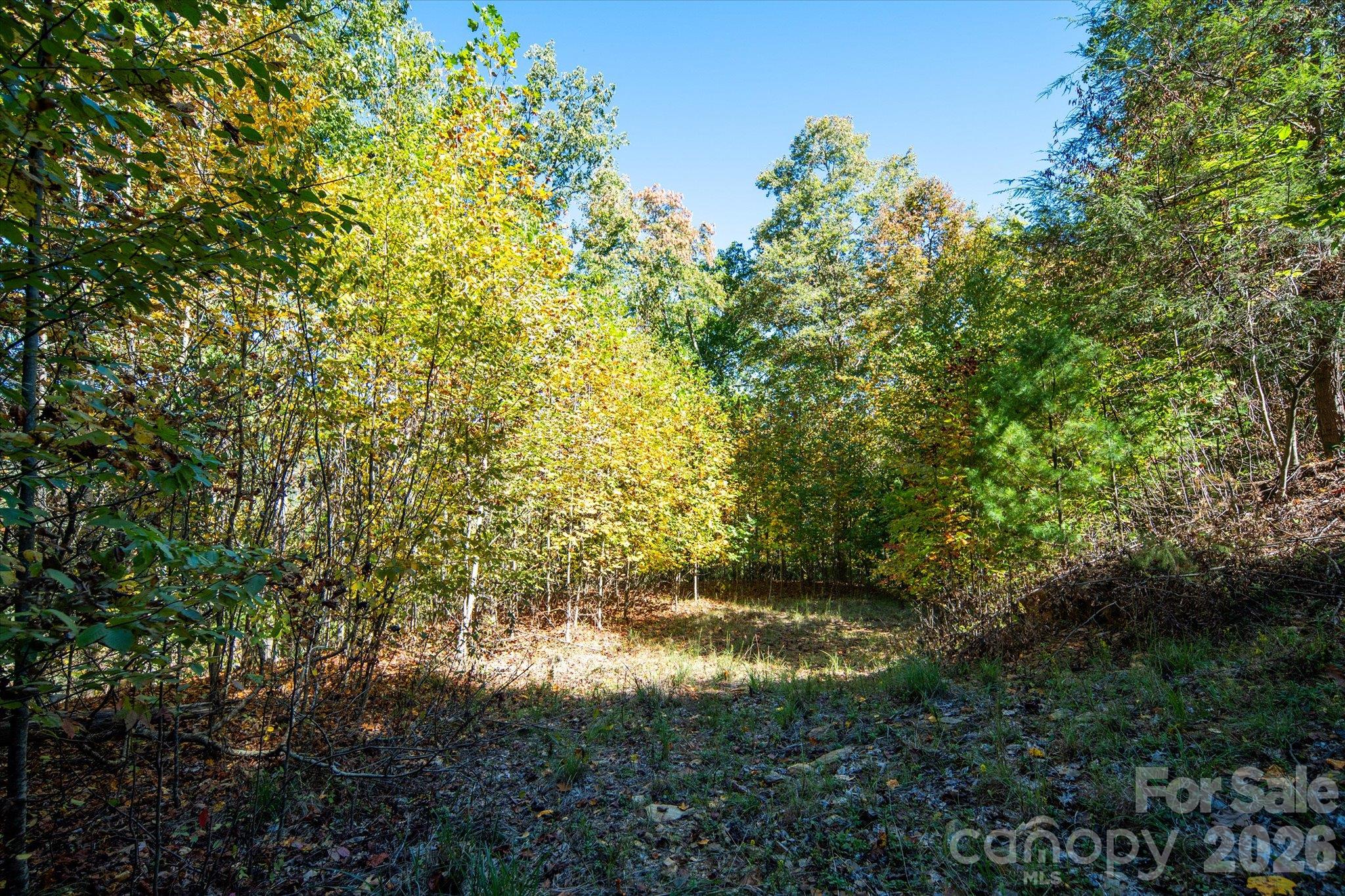 Acreage at TBD Big Laurel Road, Marshall, photo 10 of 22