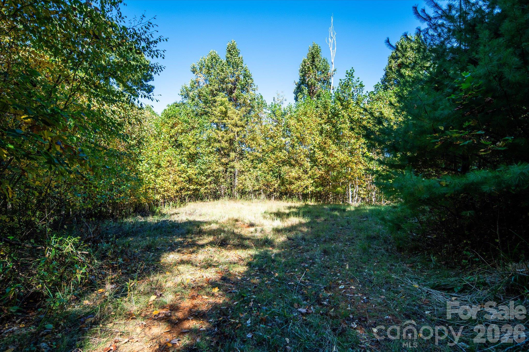 Acreage at TBD Big Laurel Road, Marshall, photo 14 of 22