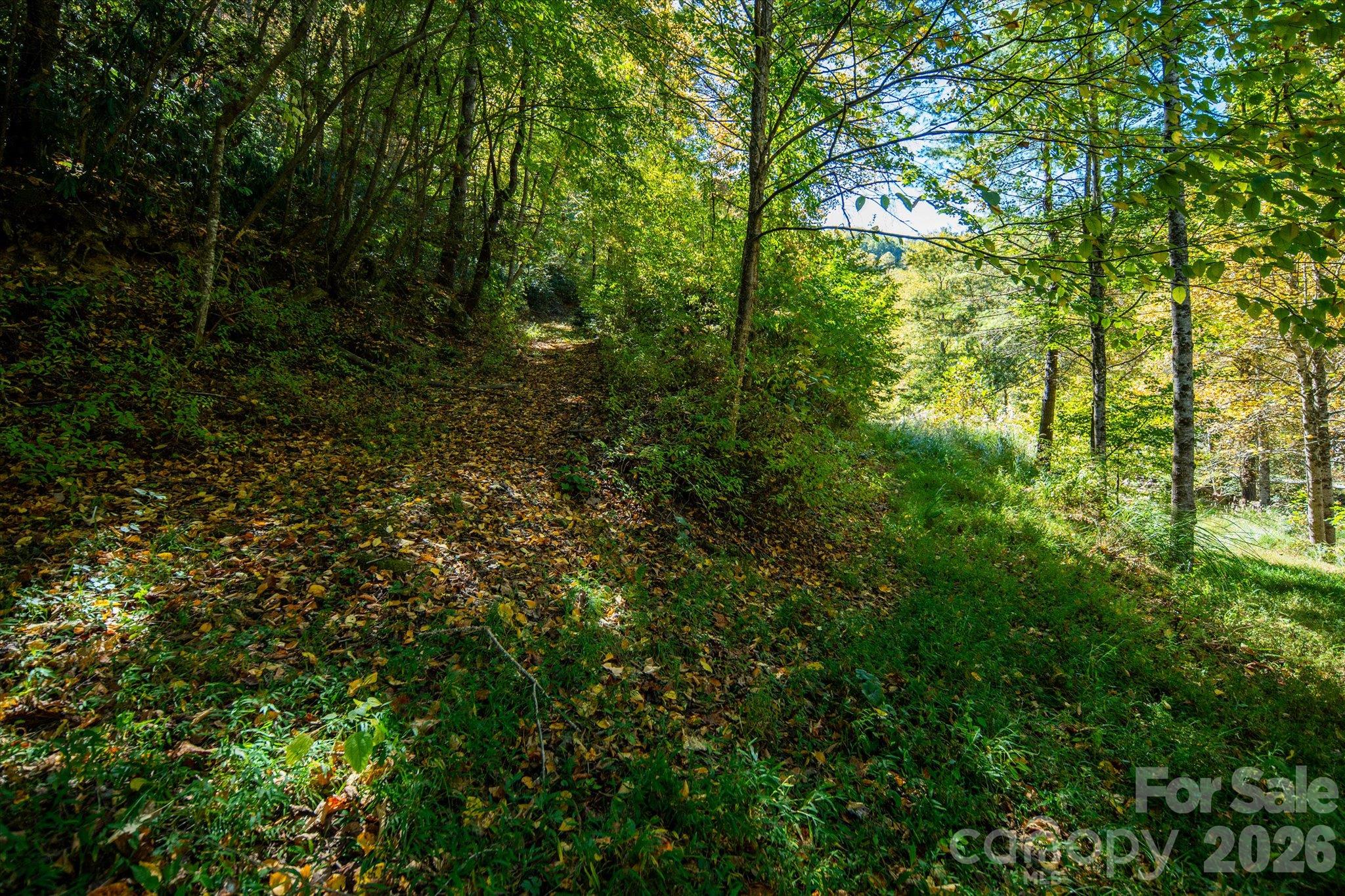Acreage at TBD Big Laurel Road, Marshall, photo 18 of 22