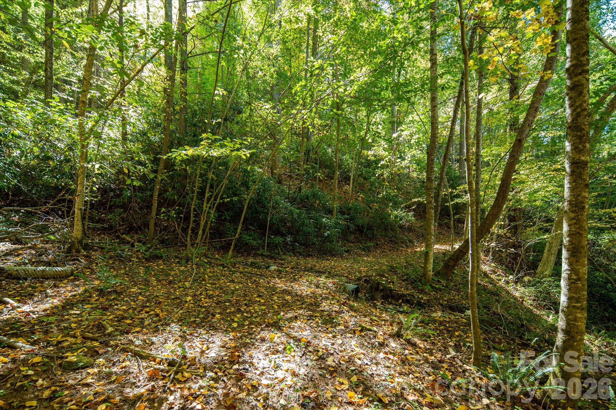 Acreage at TBD Big Laurel Road, Marshall, photo 19 of 22