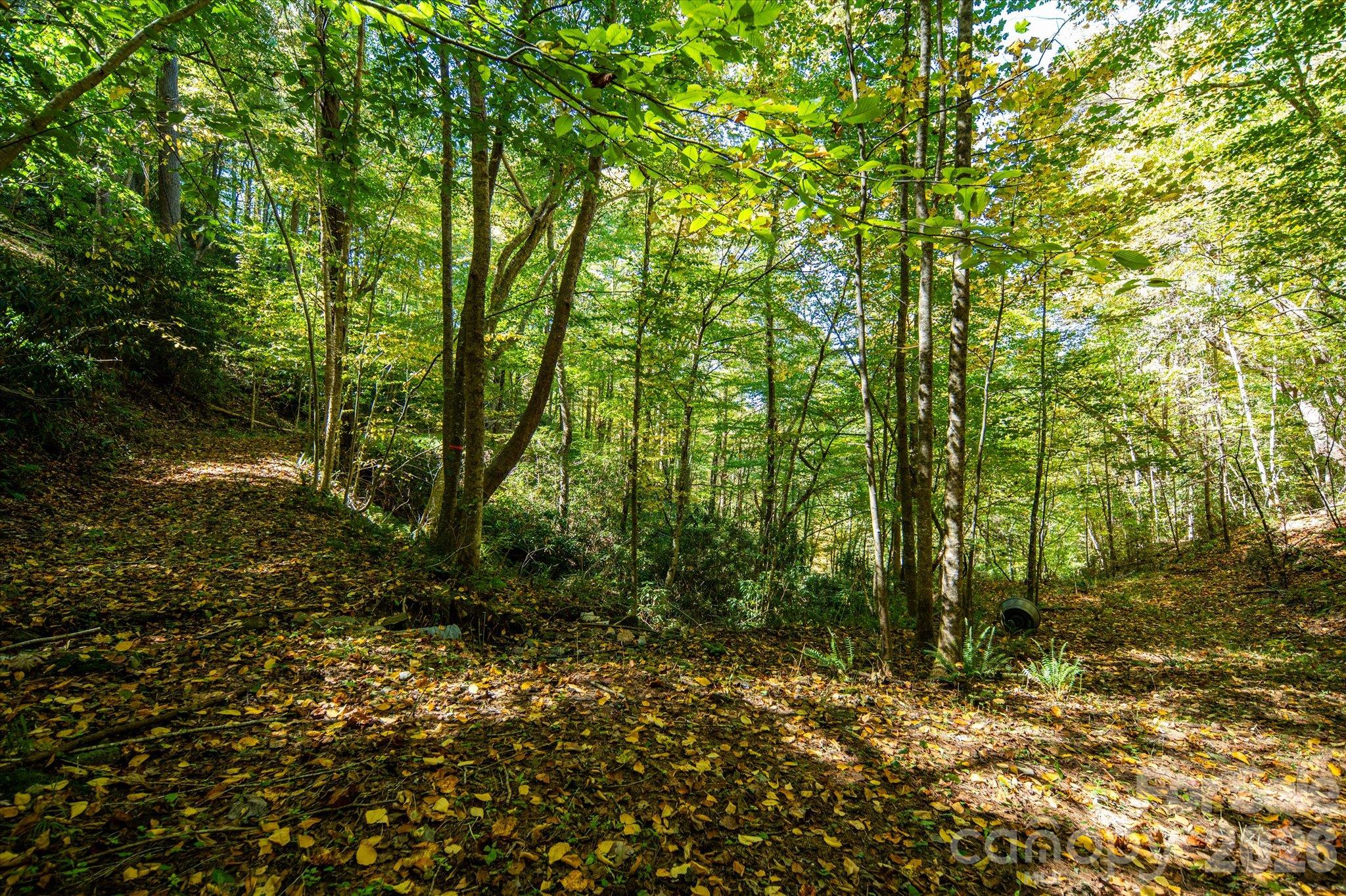 Acreage at TBD Big Laurel Road, Marshall, photo 20 of 22