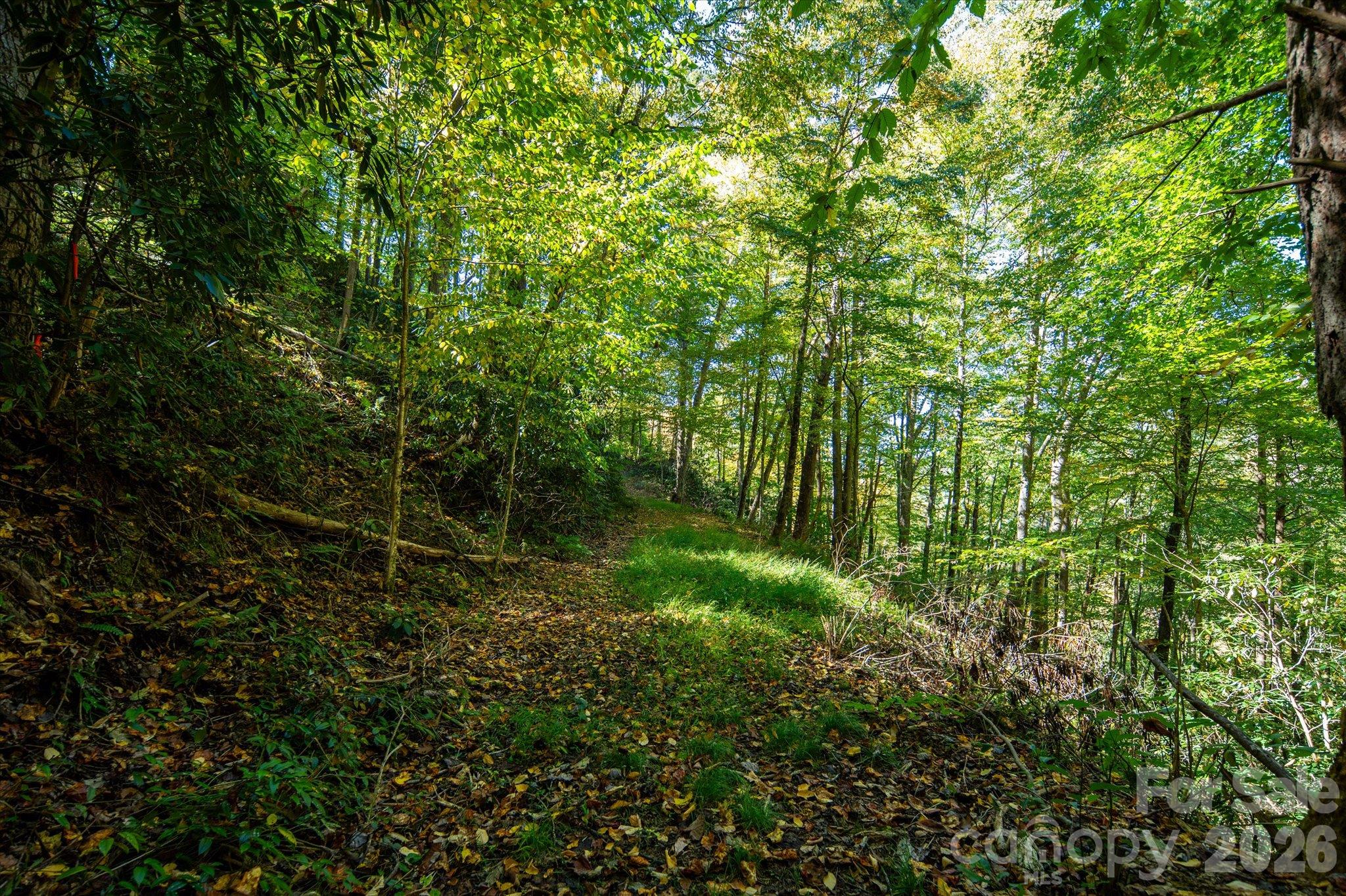Acreage at TBD Big Laurel Road, Marshall, photo 21 of 22