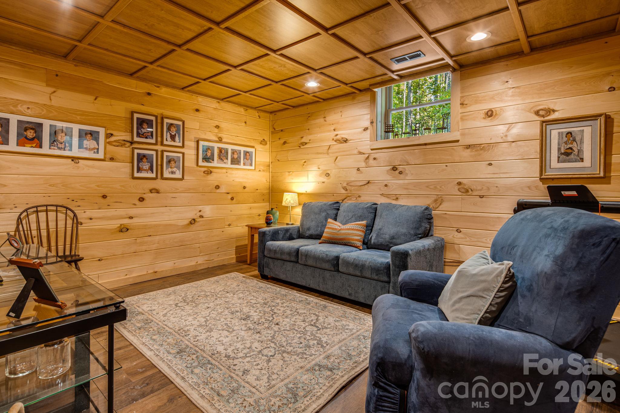 Basement Living Room - 576 Pheasant Street, Lake Lure