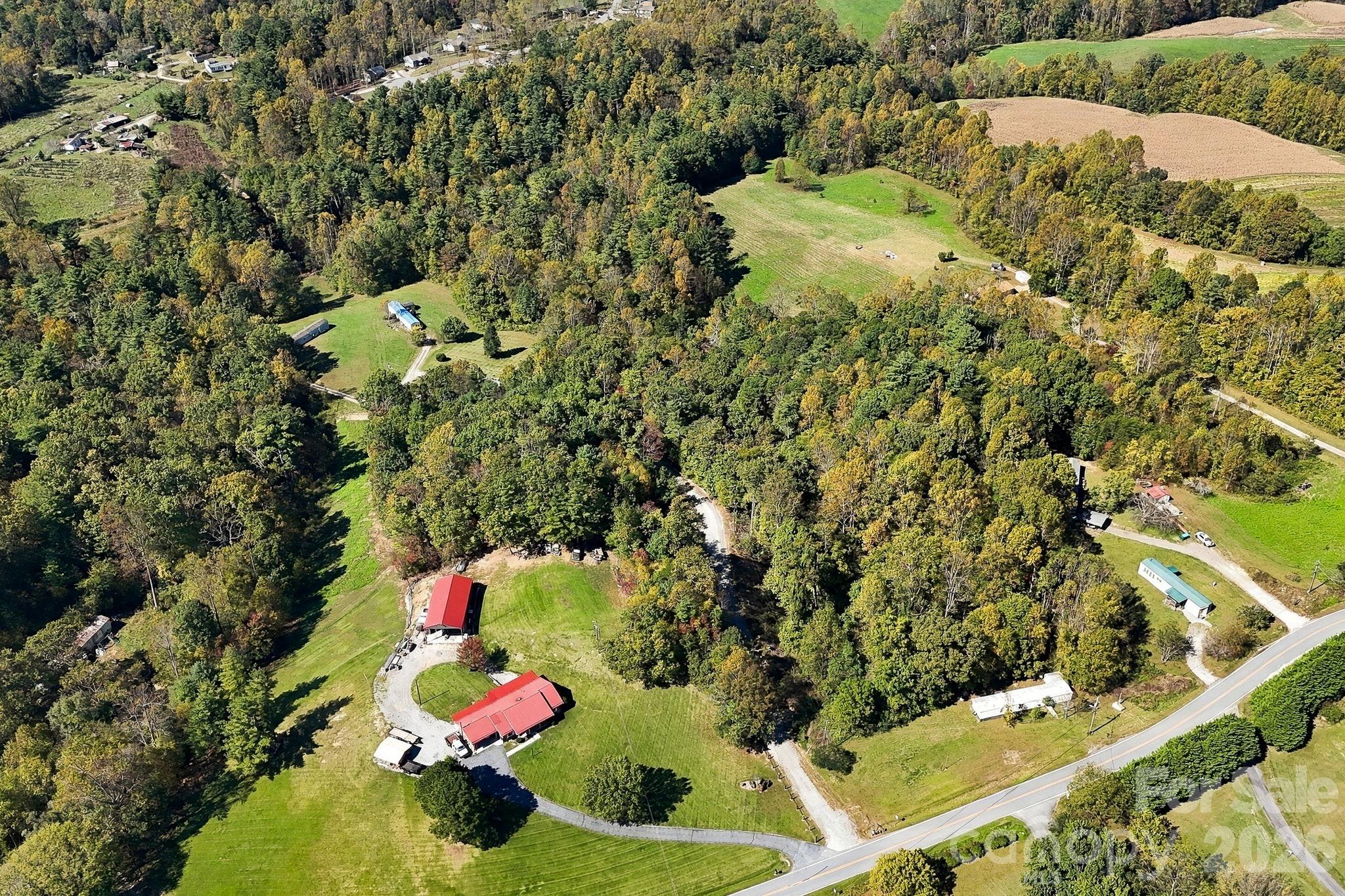 Expansive wooded areas and gently laying clearings offer a compelling combination of privacy, natural beauty, and versatility. - 631 Union Hill Road, Hendersonville