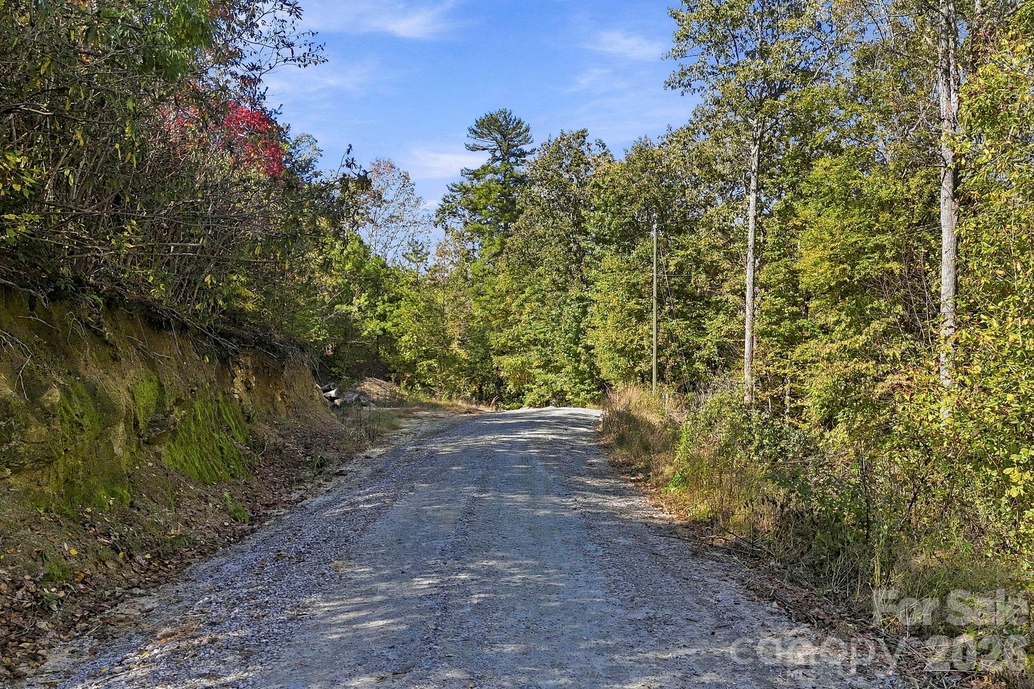 Existing gravel roadway offers convenient access through the wooded acreage, reducing the need for new road construction. - 631 Union Hill Road, Hendersonville