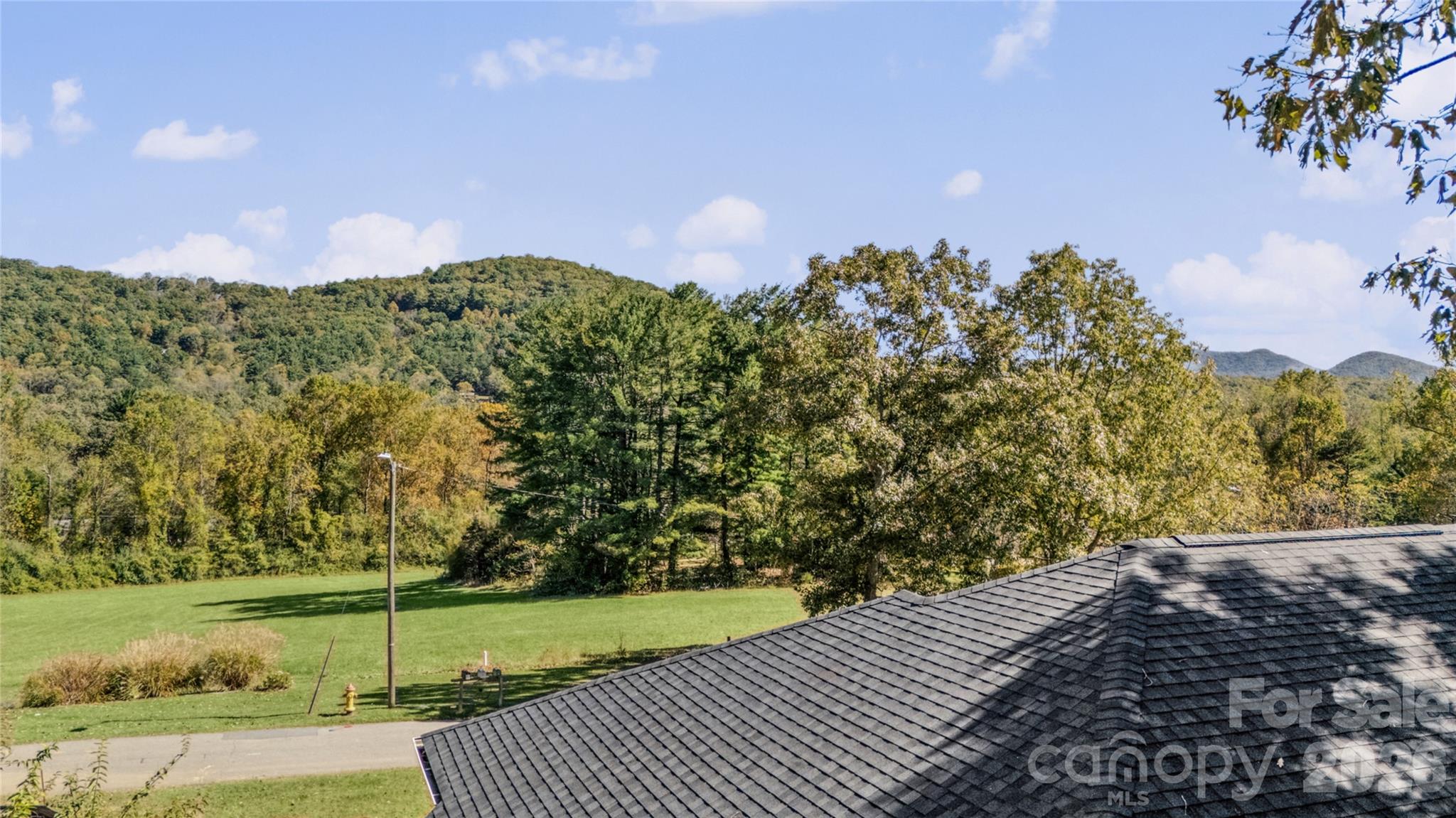 Looking east towards the Haw Creek Overlook on the parkway. - 540 Old Haw Creek Road, Asheville