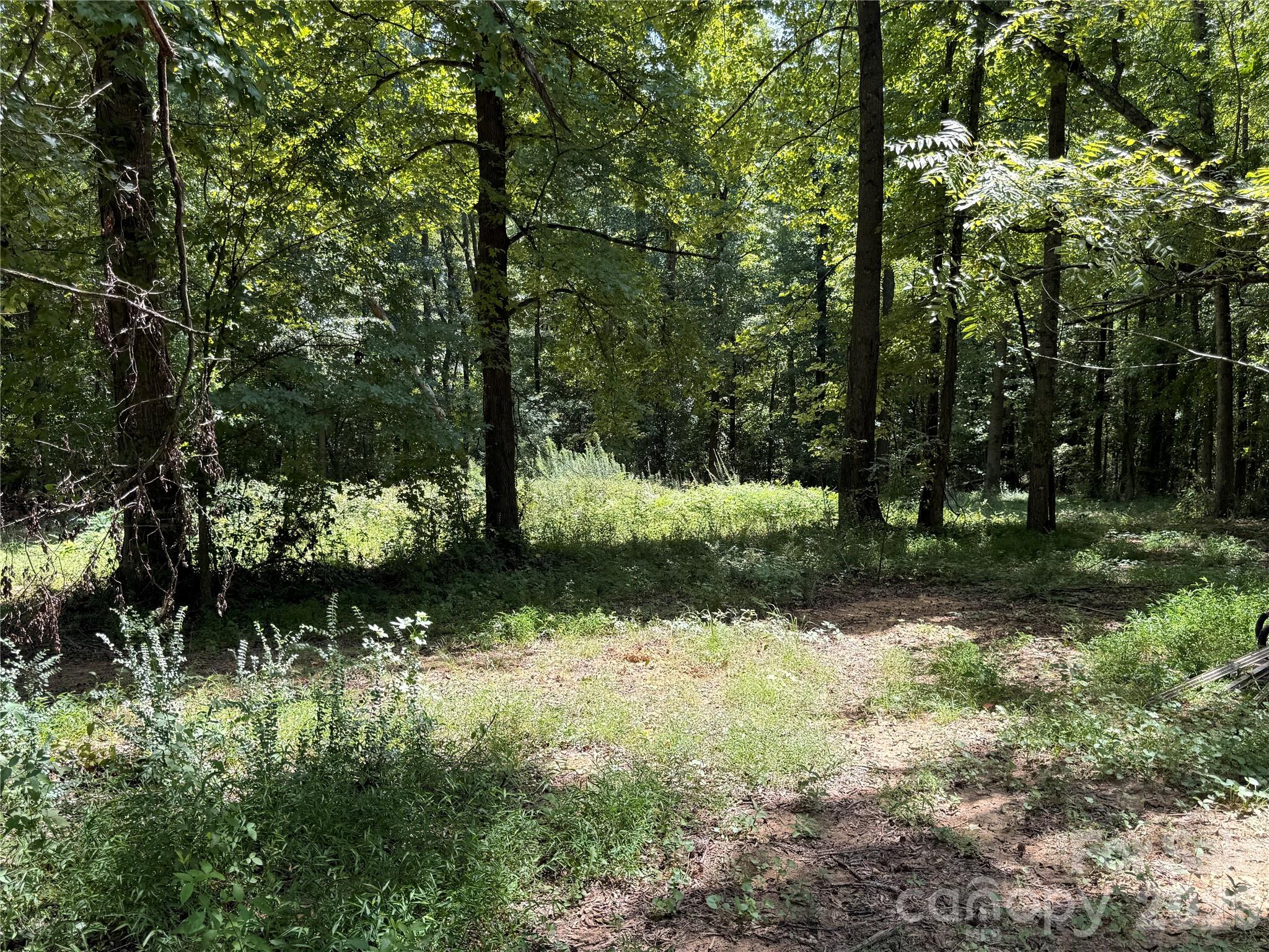 Single Family Residence at 25838 Lingerfelt Road, Albemarle, photo 15 of 27