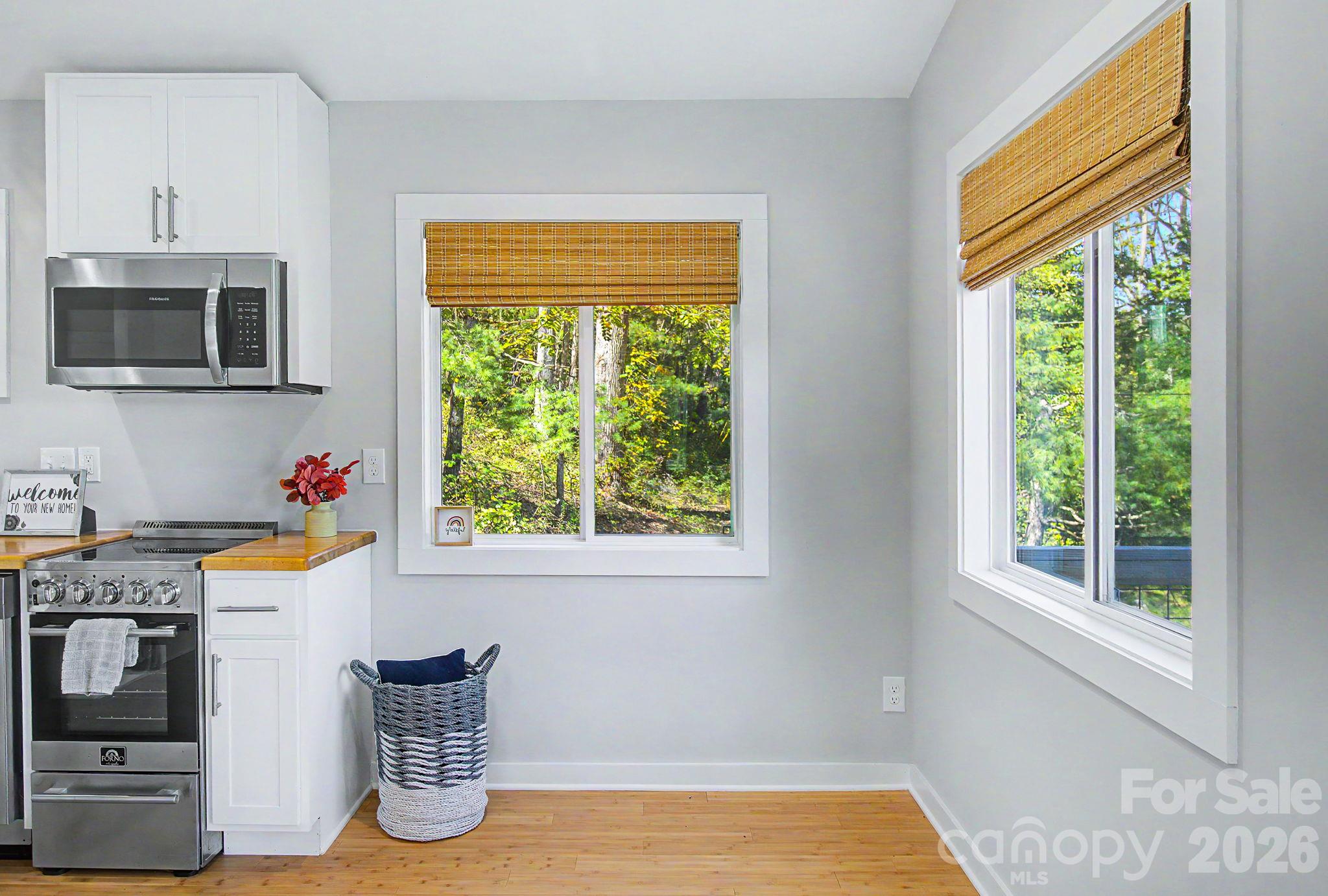 Single Family Residence at 105 Escape Drive, Asheville, photo 13 of 43