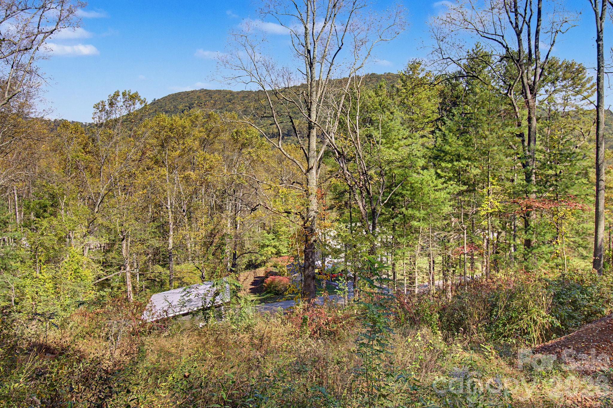 Single Family Residence at 105 Escape Drive, Asheville, photo 38 of 43