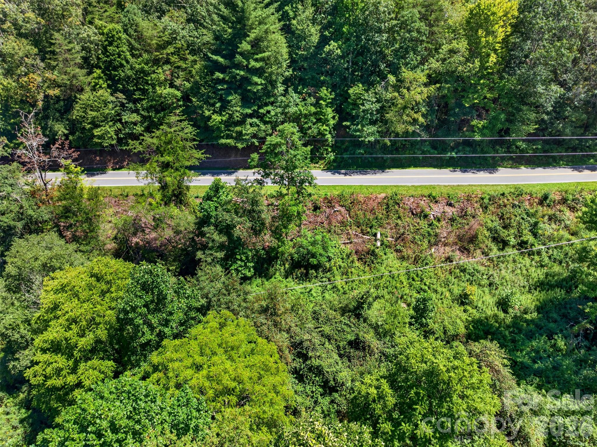 Acreage at 0 Kims Cove Road, Canton, photo 13 of 44