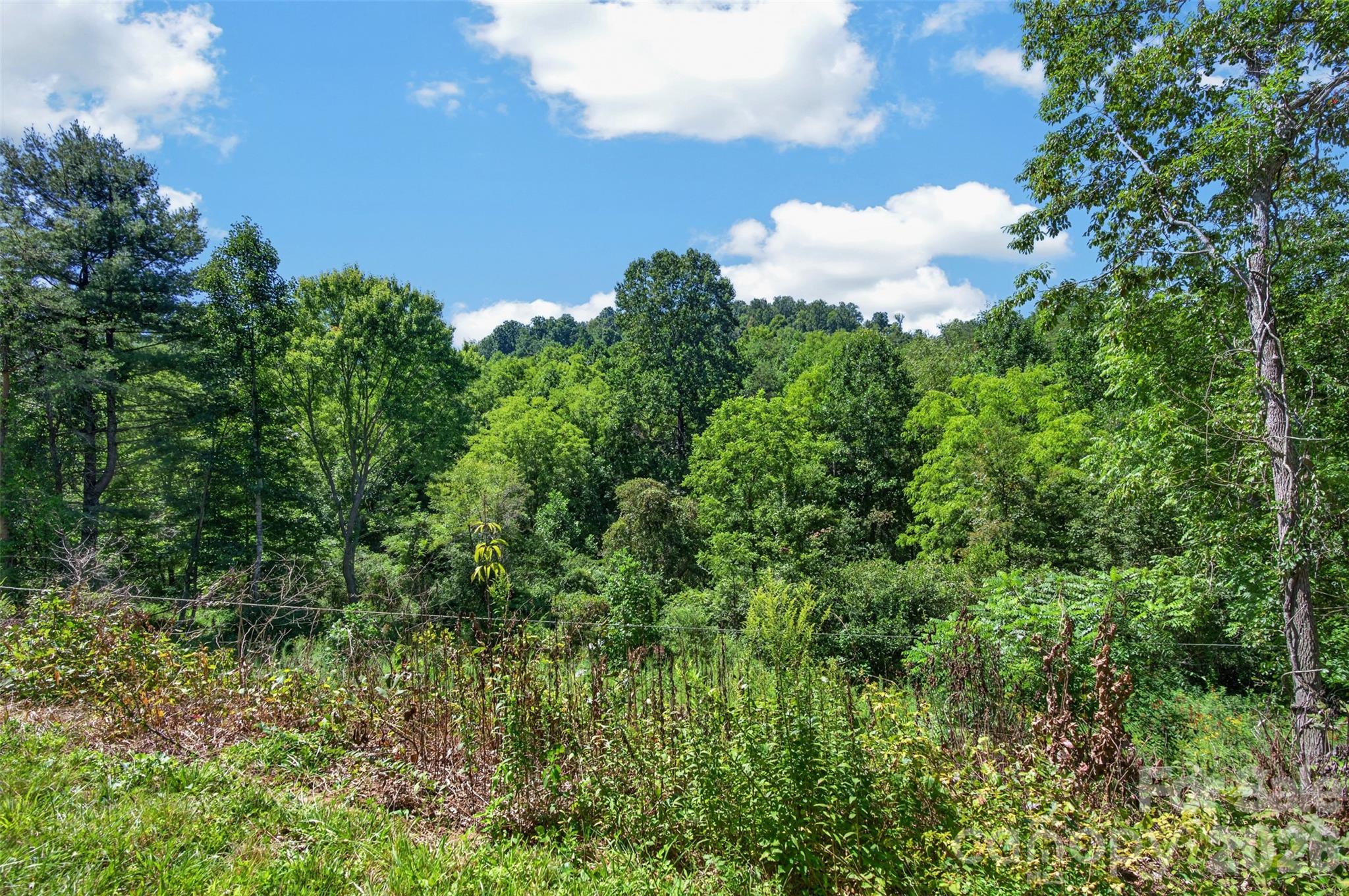 Acreage at 0 Kims Cove Road, Canton, photo 18 of 44