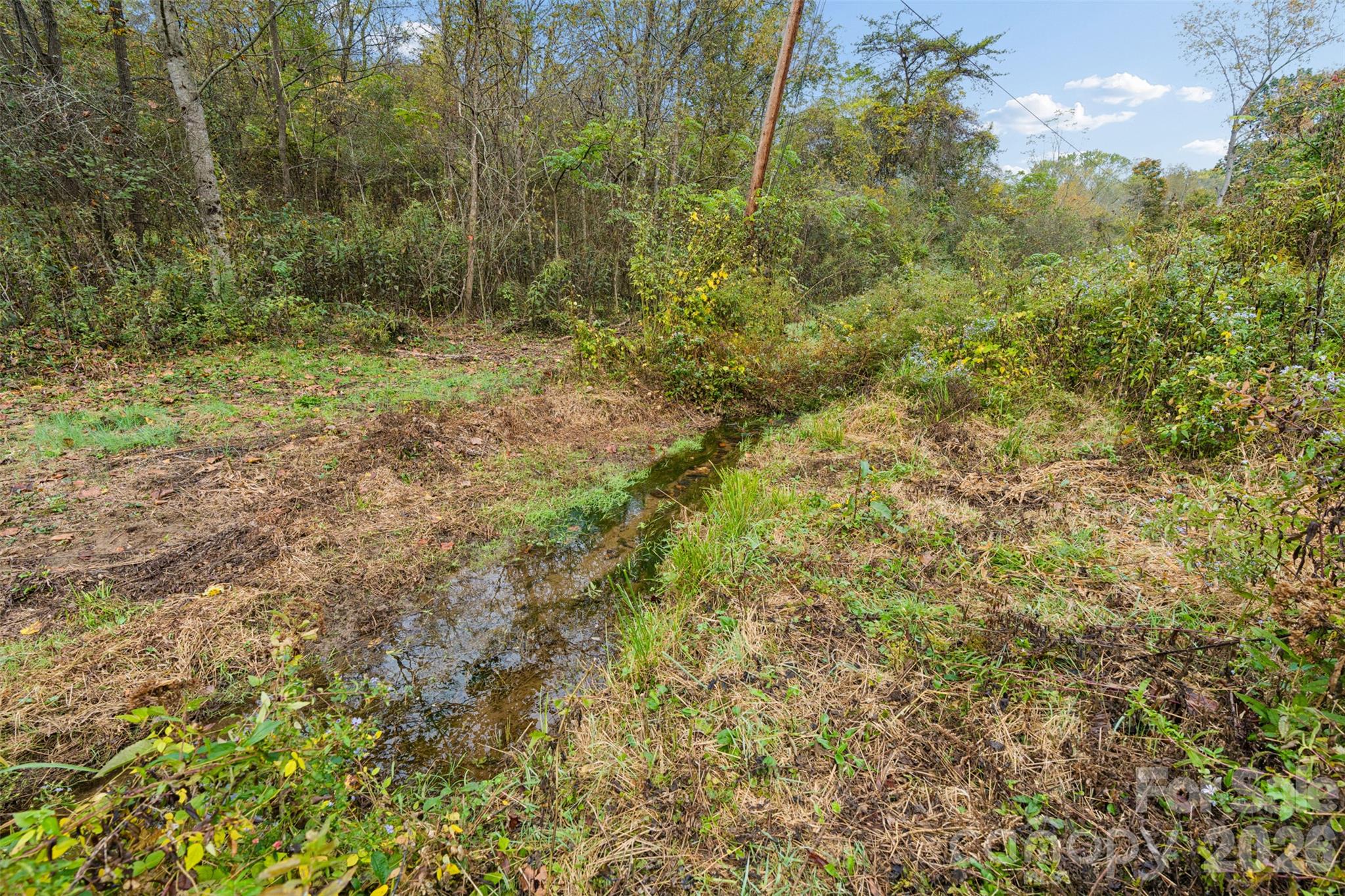 Acreage at 0 Kims Cove Road, Canton, photo 20 of 44