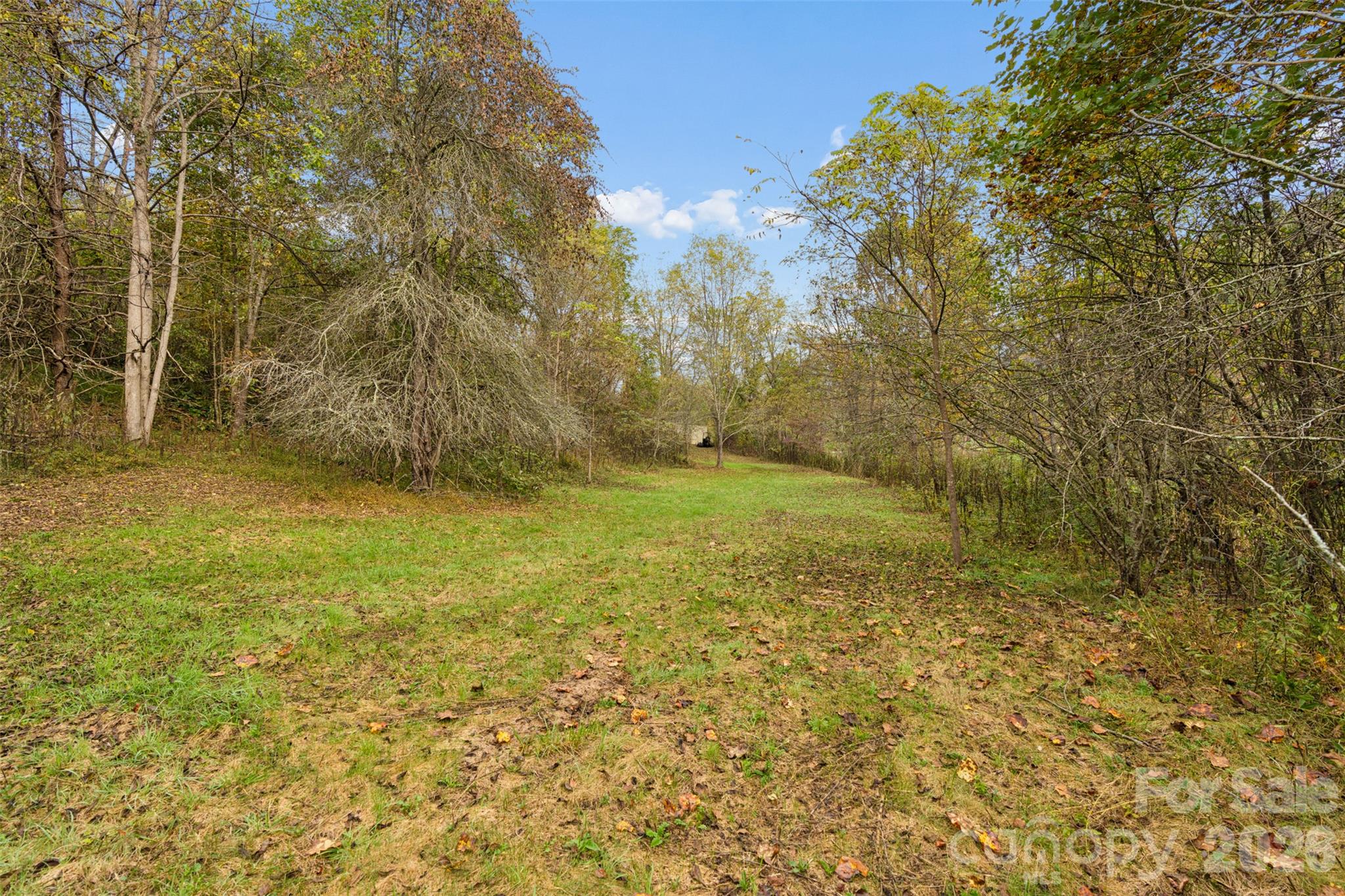 Acreage at 0 Kims Cove Road, Canton, photo 27 of 44