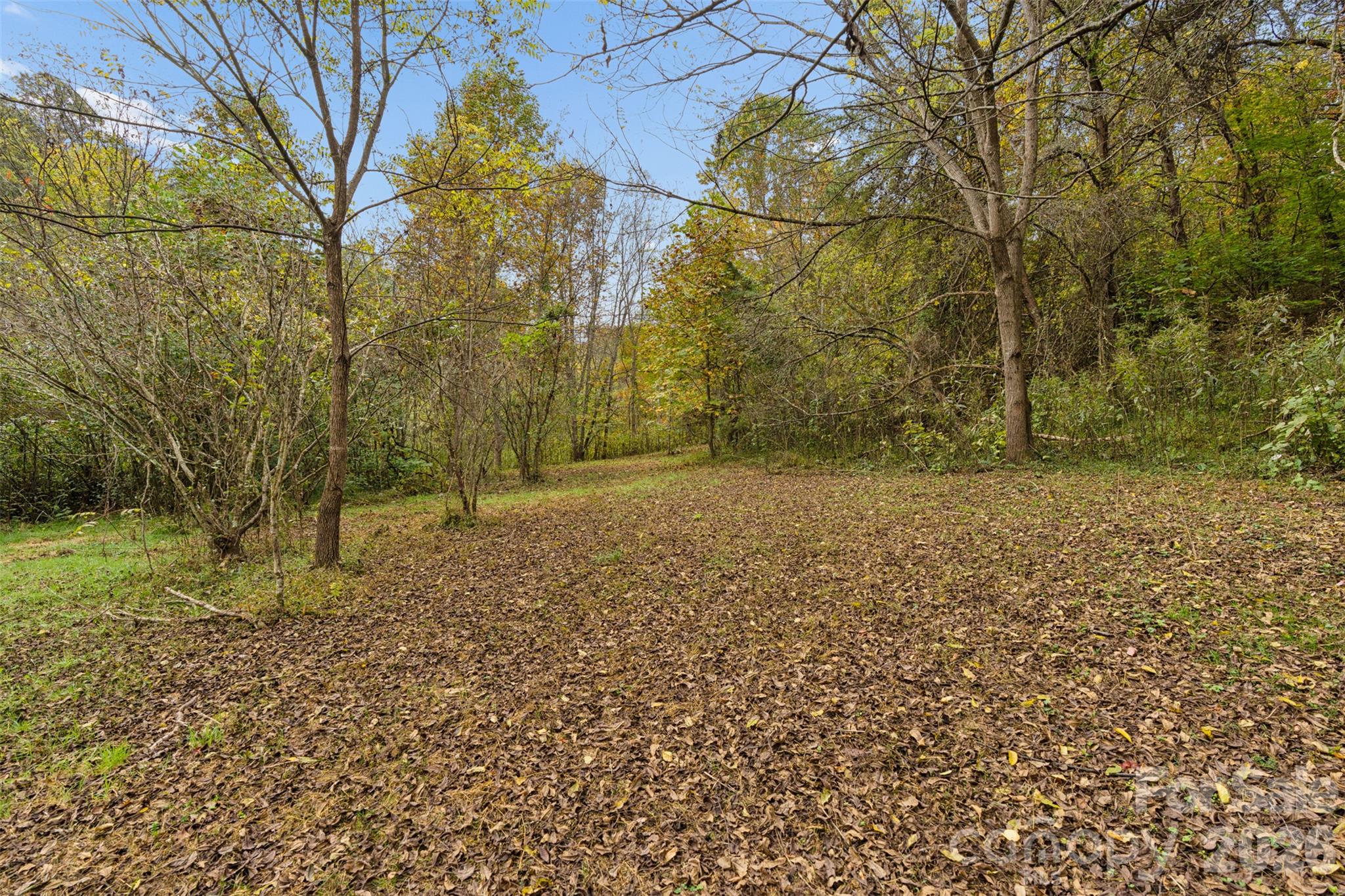 Acreage at 0 Kims Cove Road, Canton, photo 28 of 44