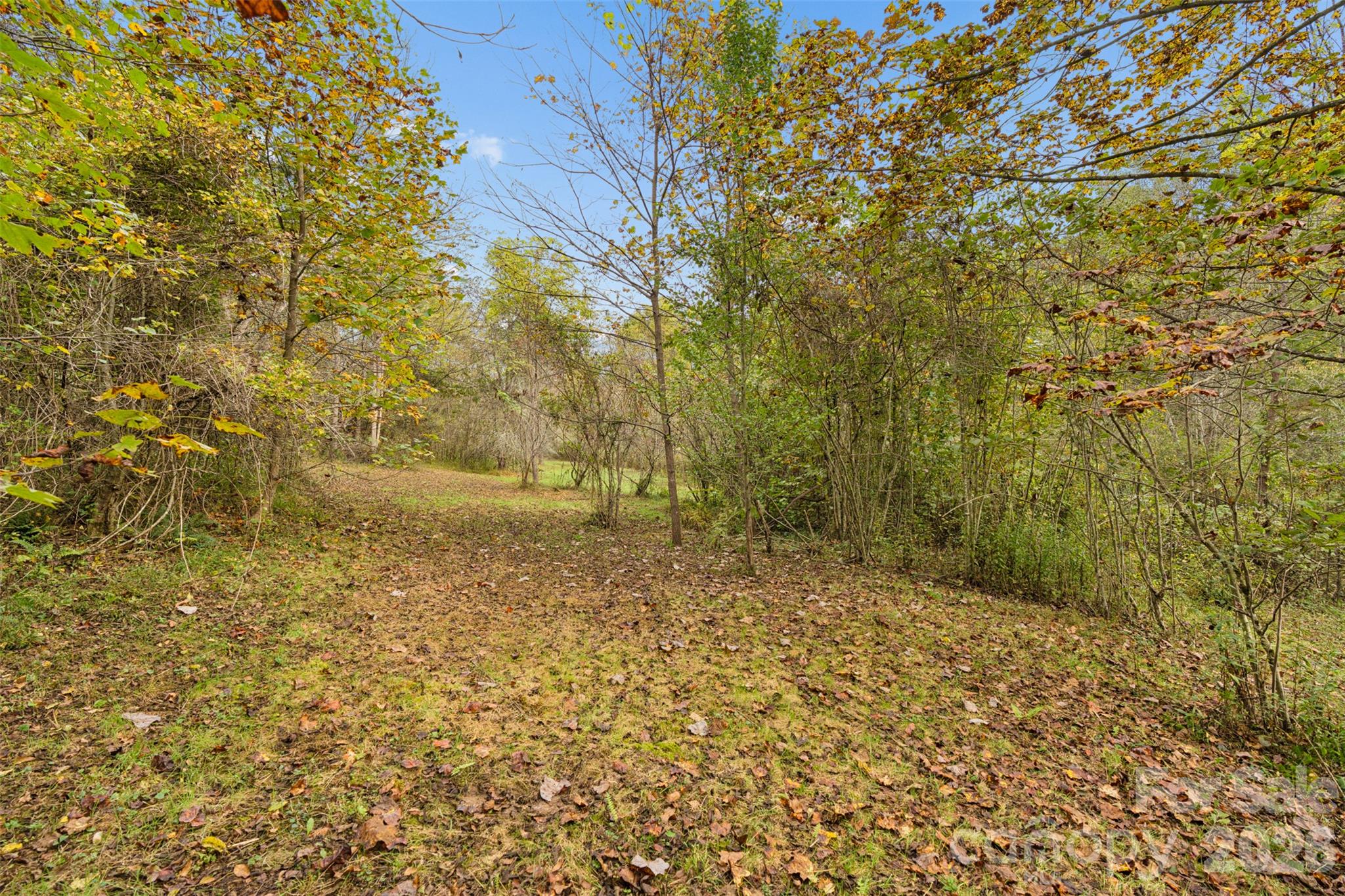 Acreage at 0 Kims Cove Road, Canton, photo 29 of 44