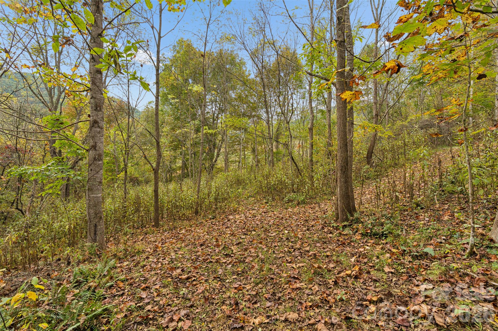 Acreage at 0 Kims Cove Road, Canton, photo 32 of 44