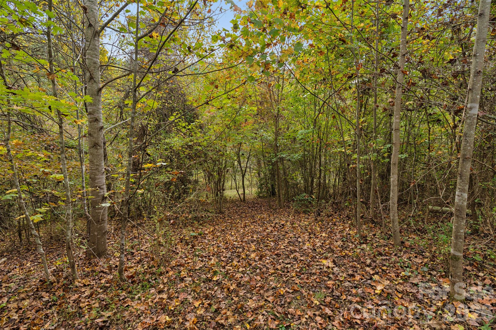 Acreage at 0 Kims Cove Road, Canton, photo 33 of 44