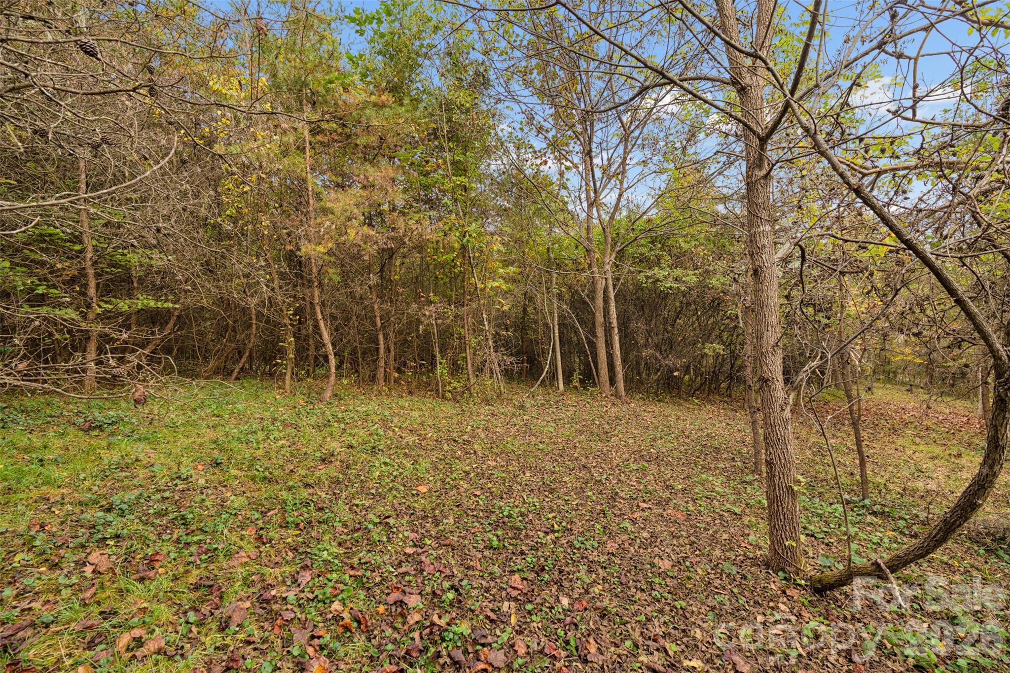 Acreage at 0 Kims Cove Road, Canton, photo 34 of 44