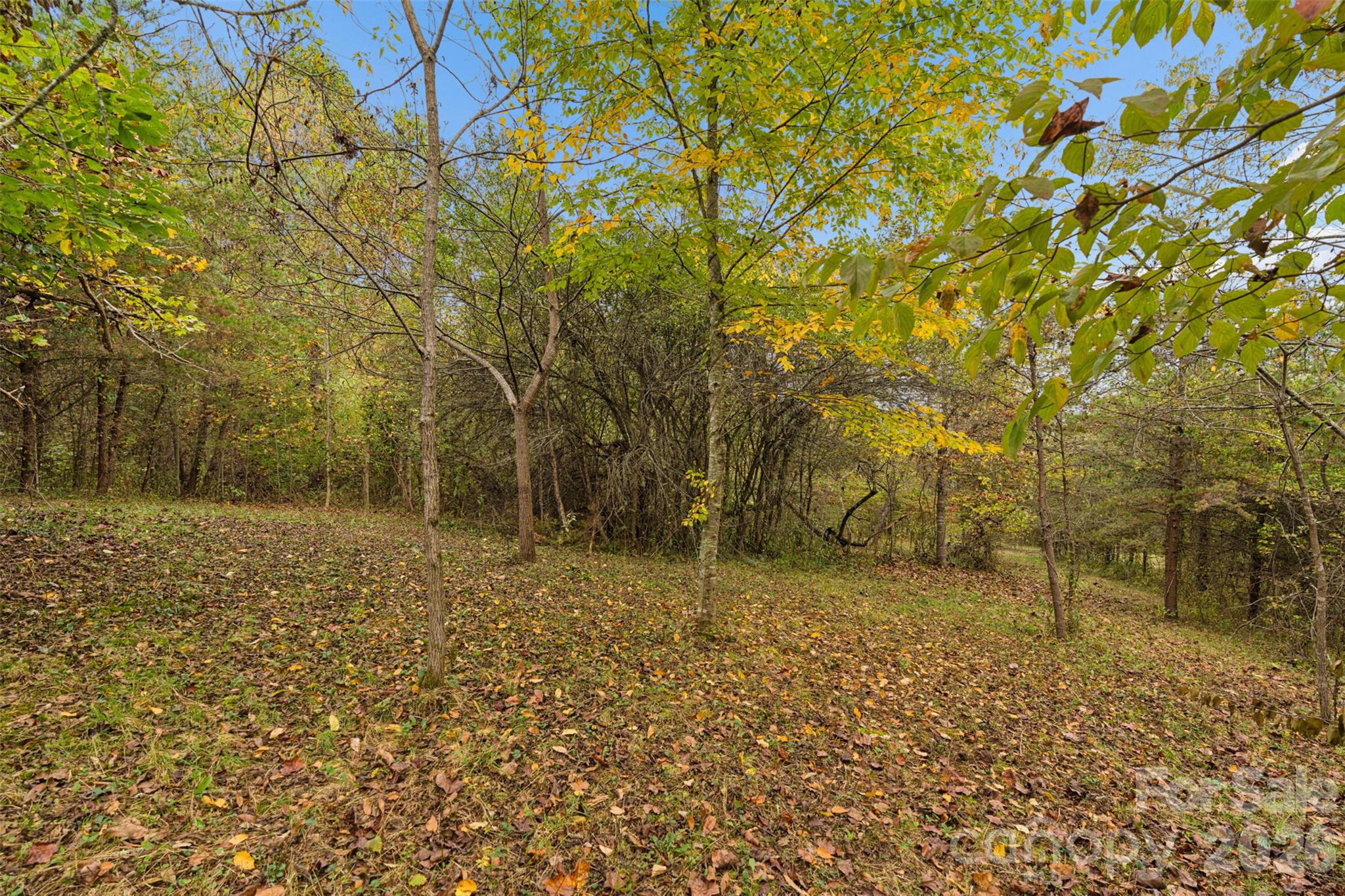 Acreage at 0 Kims Cove Road, Canton, photo 36 of 44