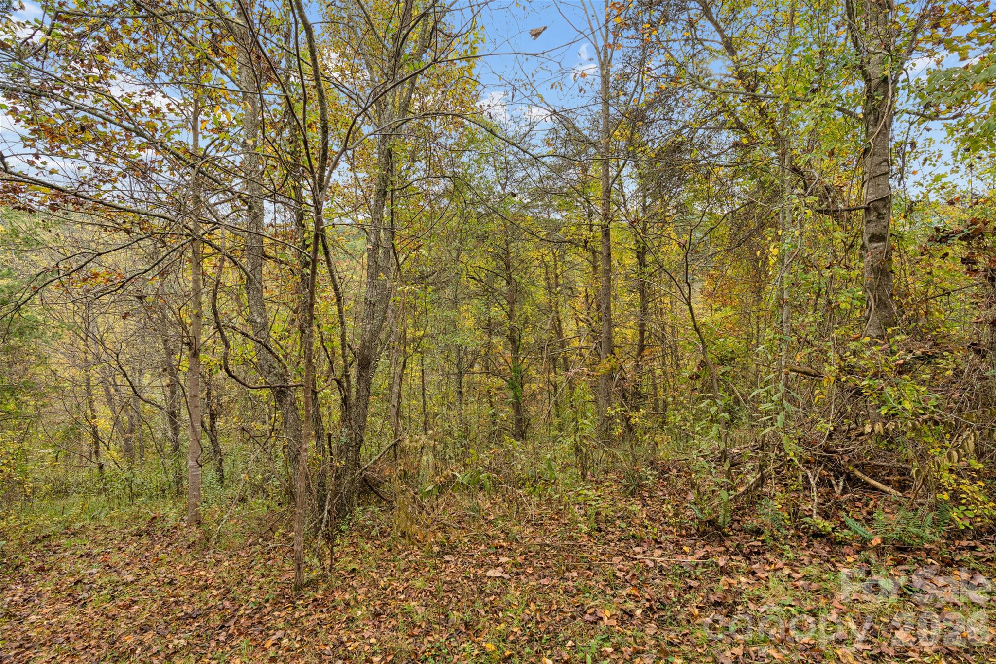 Acreage at 0 Kims Cove Road, Canton, photo 37 of 44