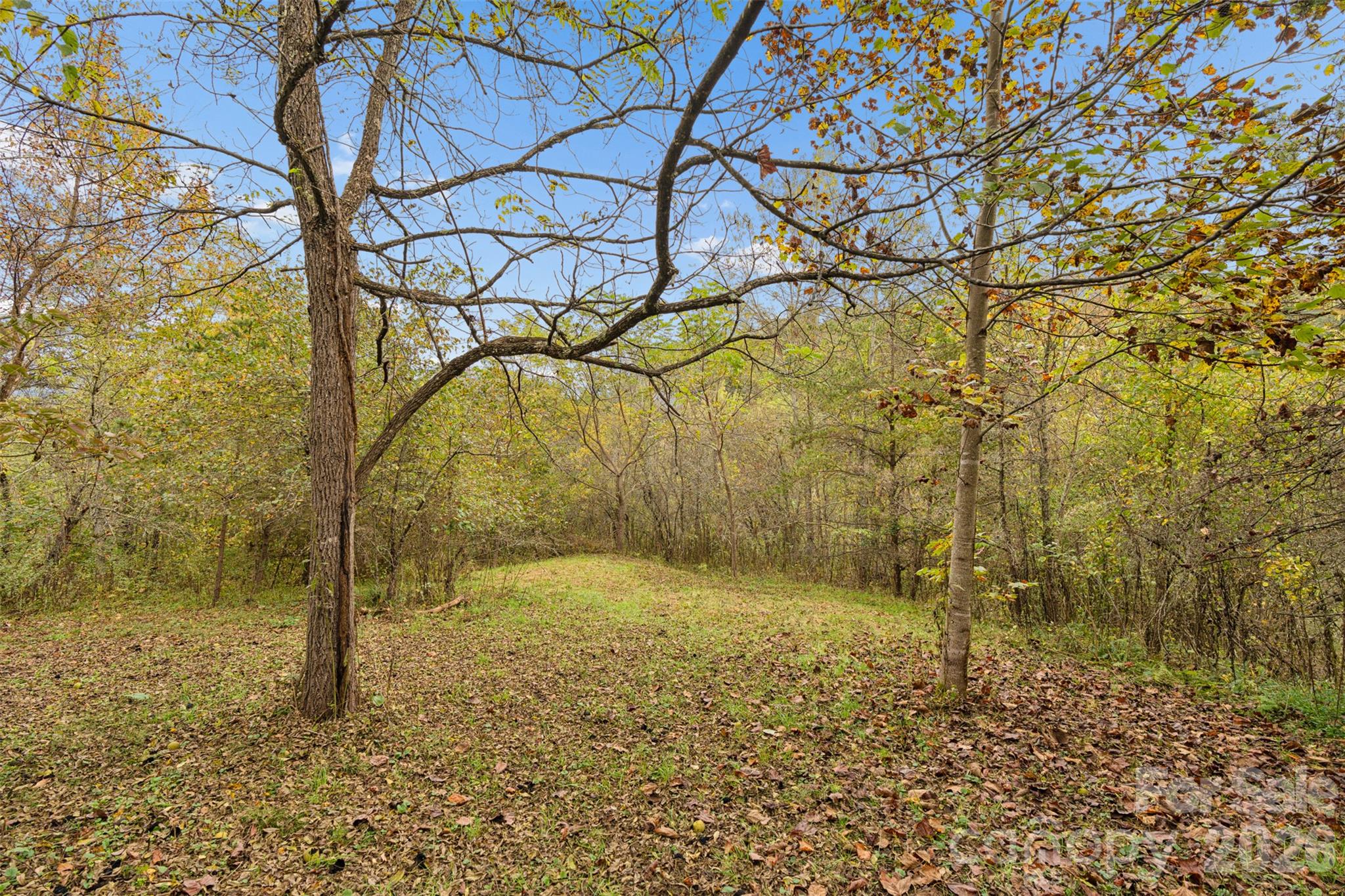 Acreage at 0 Kims Cove Road, Canton, photo 39 of 44