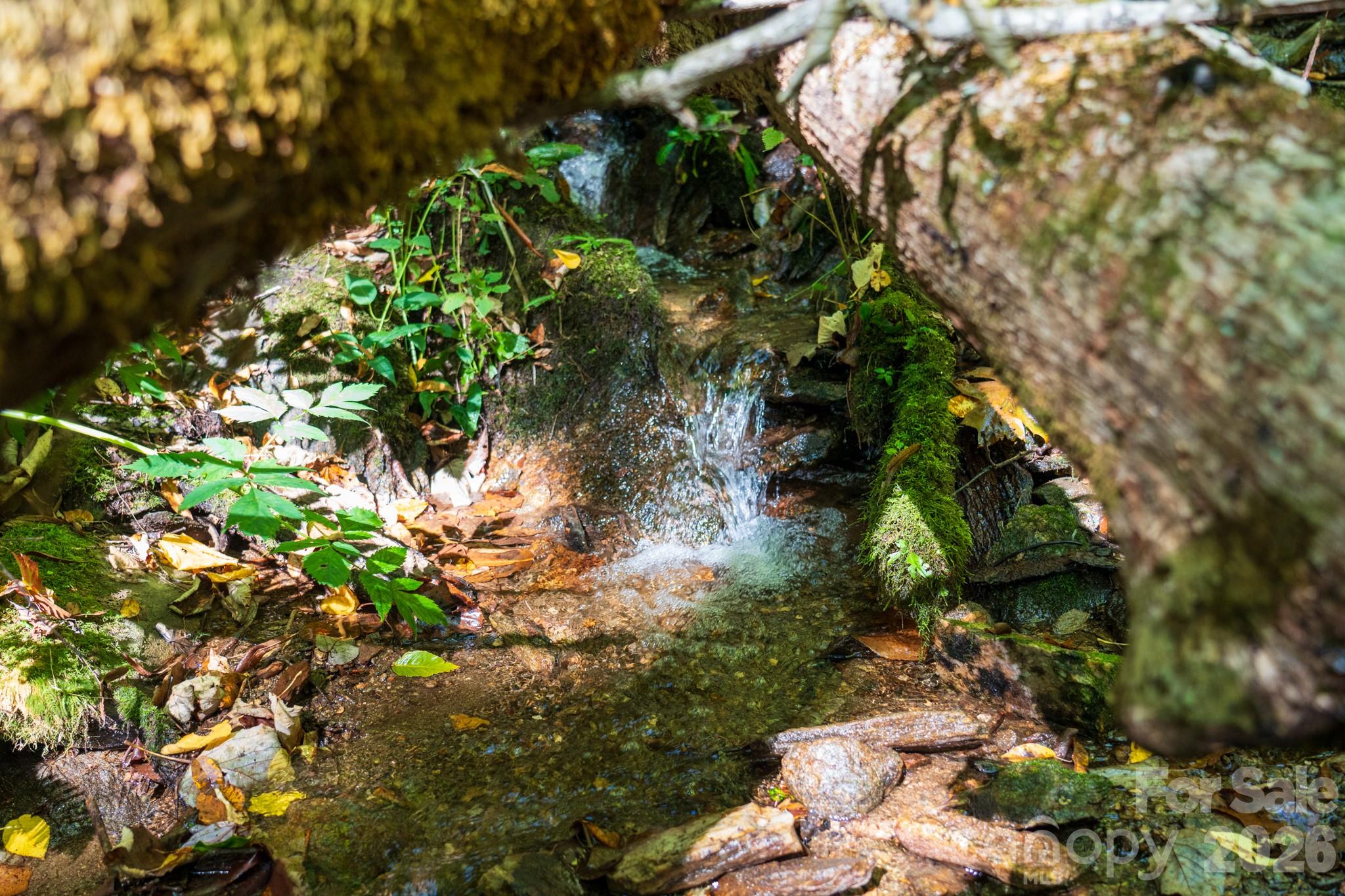 Drift Branch provides the sound of serenity throughout the property - 00 Orion Davis Road, Waynesville