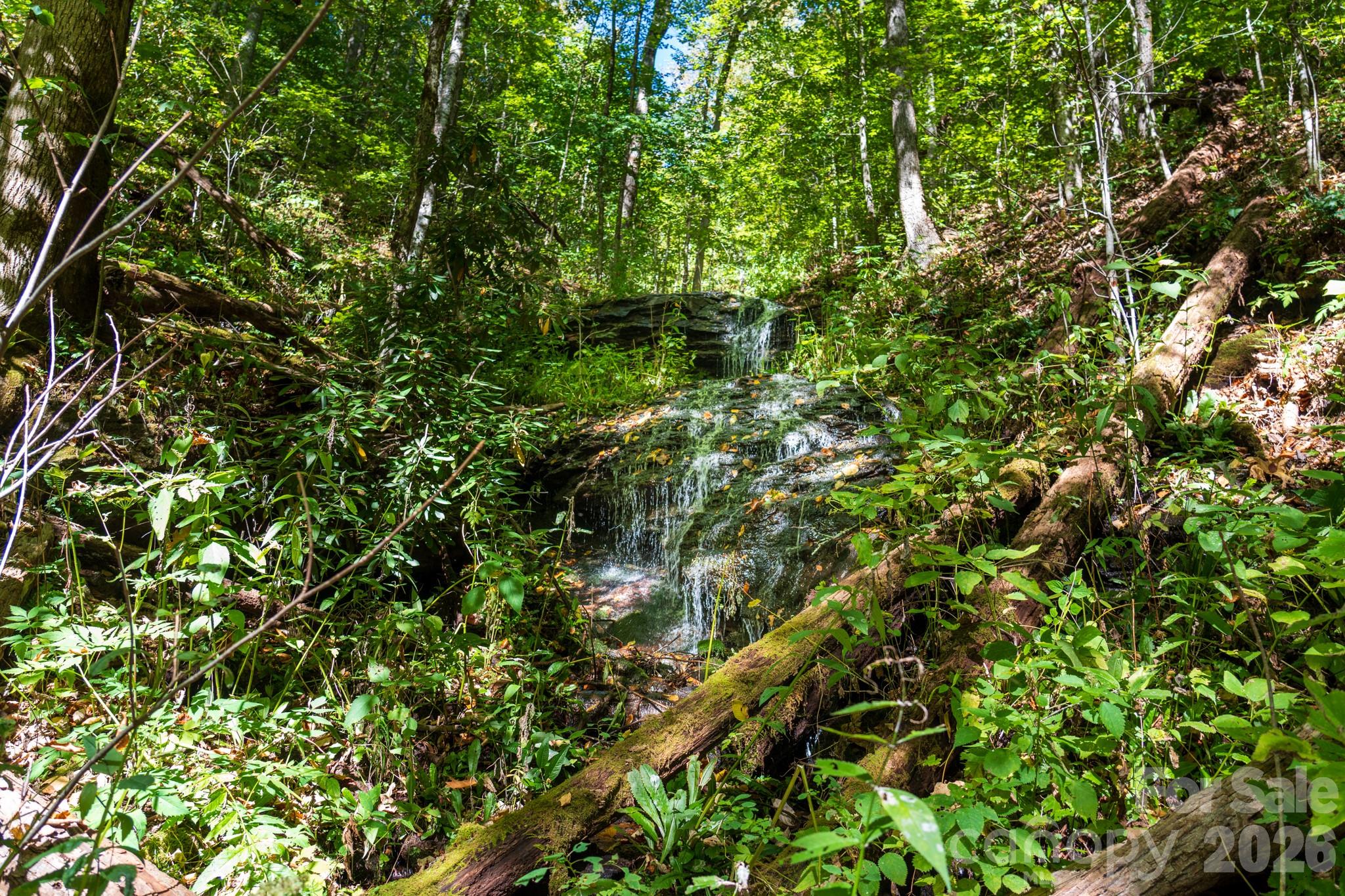 One of many waterfalls on property - 00 Orion Davis Road, Waynesville