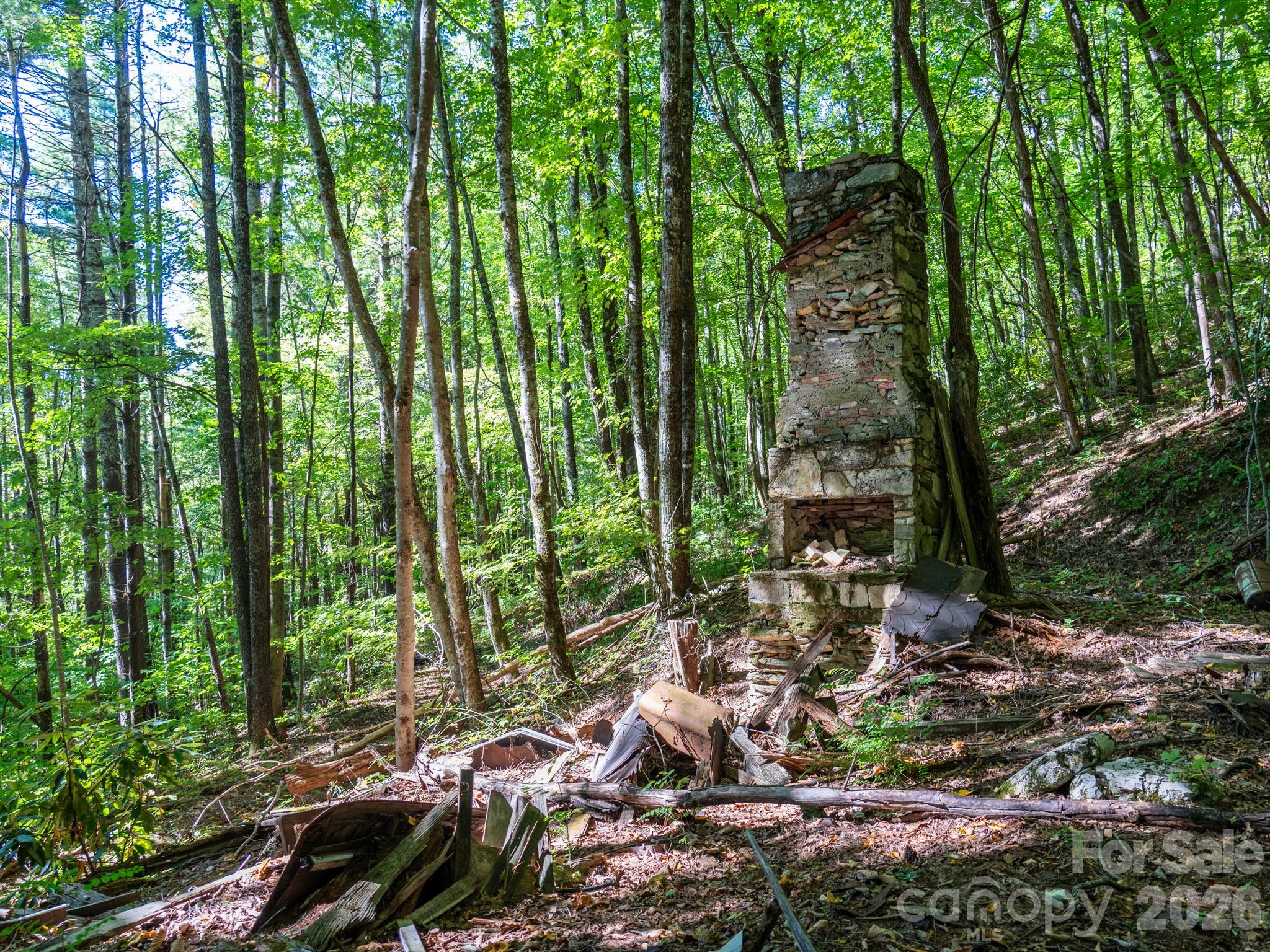 Remnants of old farmhouse on the Freeman farm -- power is run to this location - 00 Orion Davis Road, Waynesville