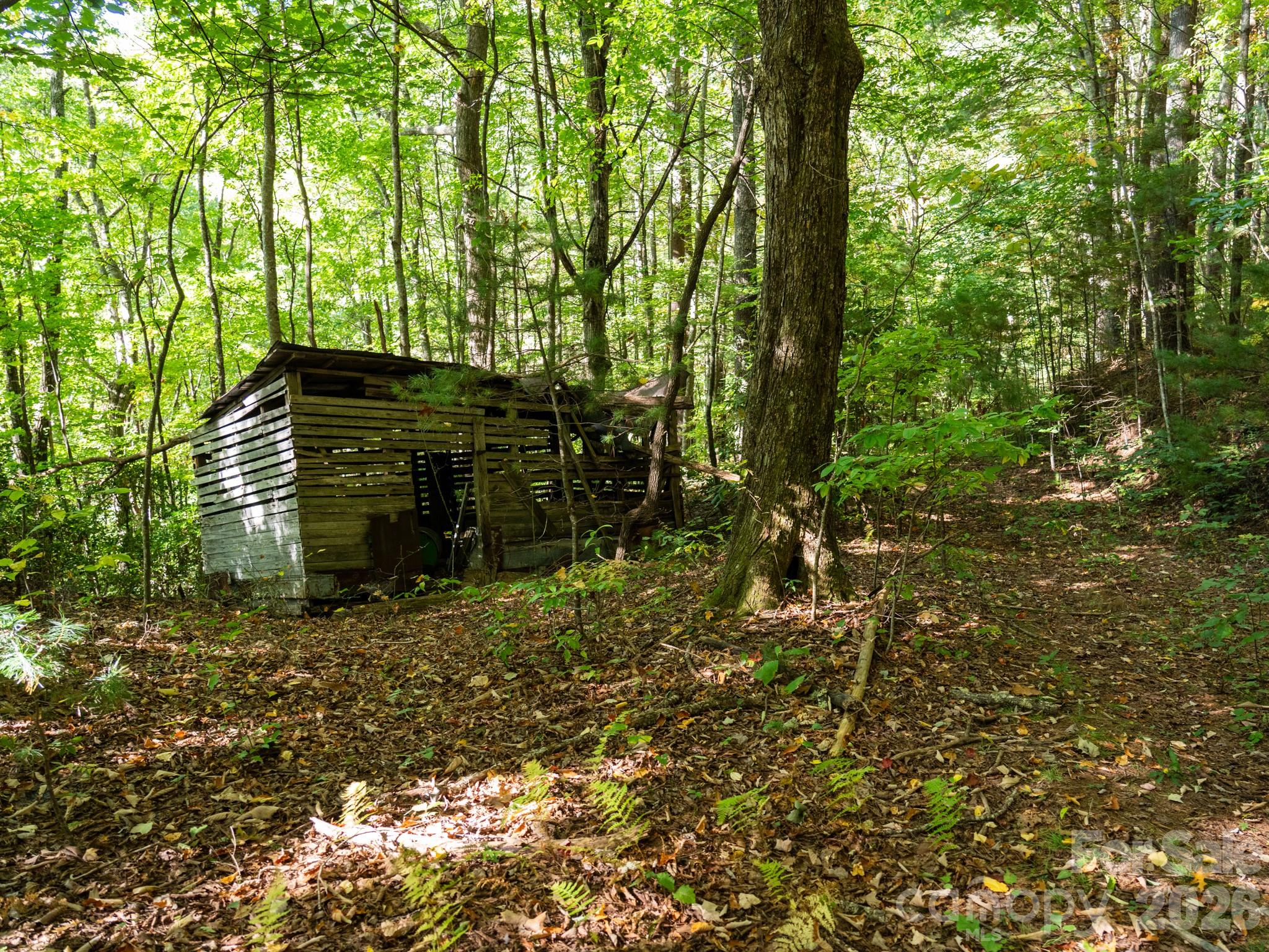 Former barn from old Freeman farm - 00 Orion Davis Road, Waynesville